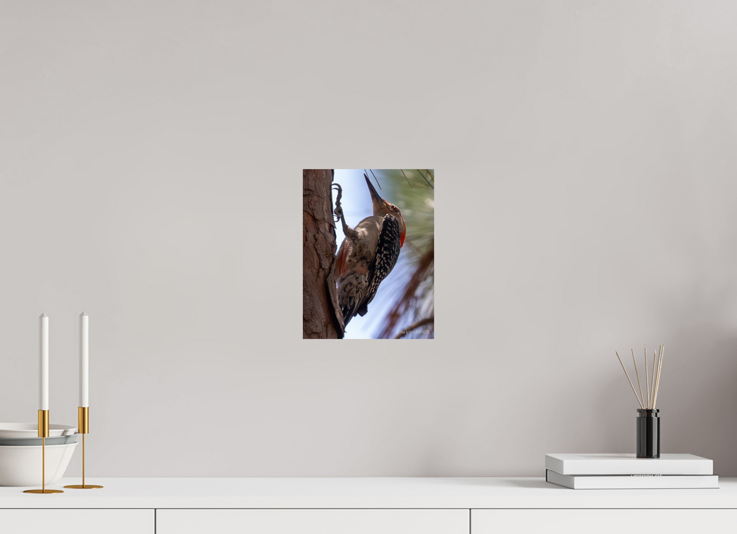 8 x 10.4″, Photo Print On Fuji Crystal DP II Zillas Zoom Image 474