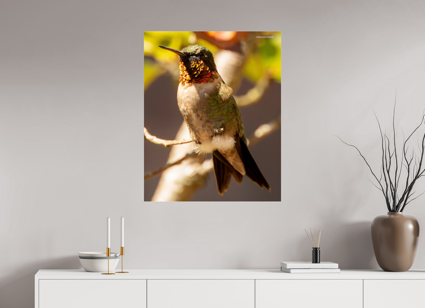 28 x 34.8″, Photo Print Under Acrylic Glass Zillas Zoom Image 339