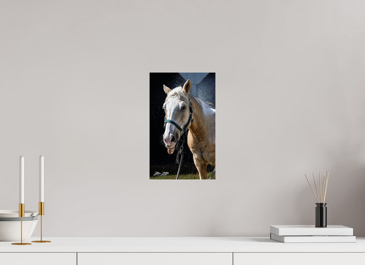 8 x 13″, Photo Print Under Acrylic Glass Zillas zoom image 156