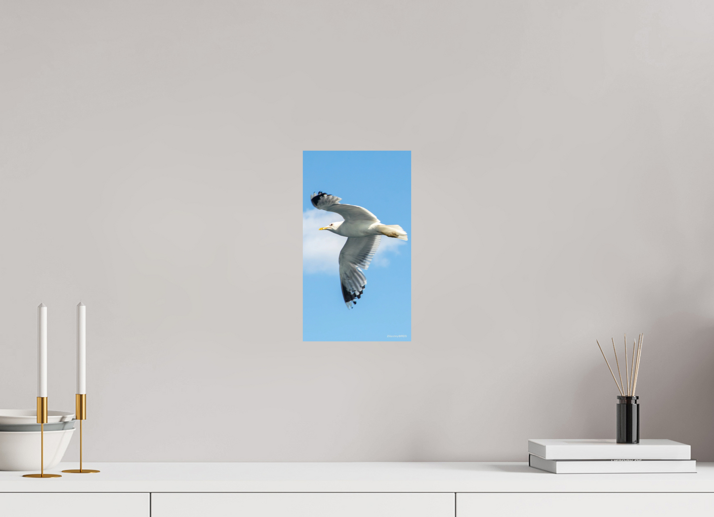 6.8 x 12″, Photo Print On Fuji Crystal DP II Zillas Zoom Image 466