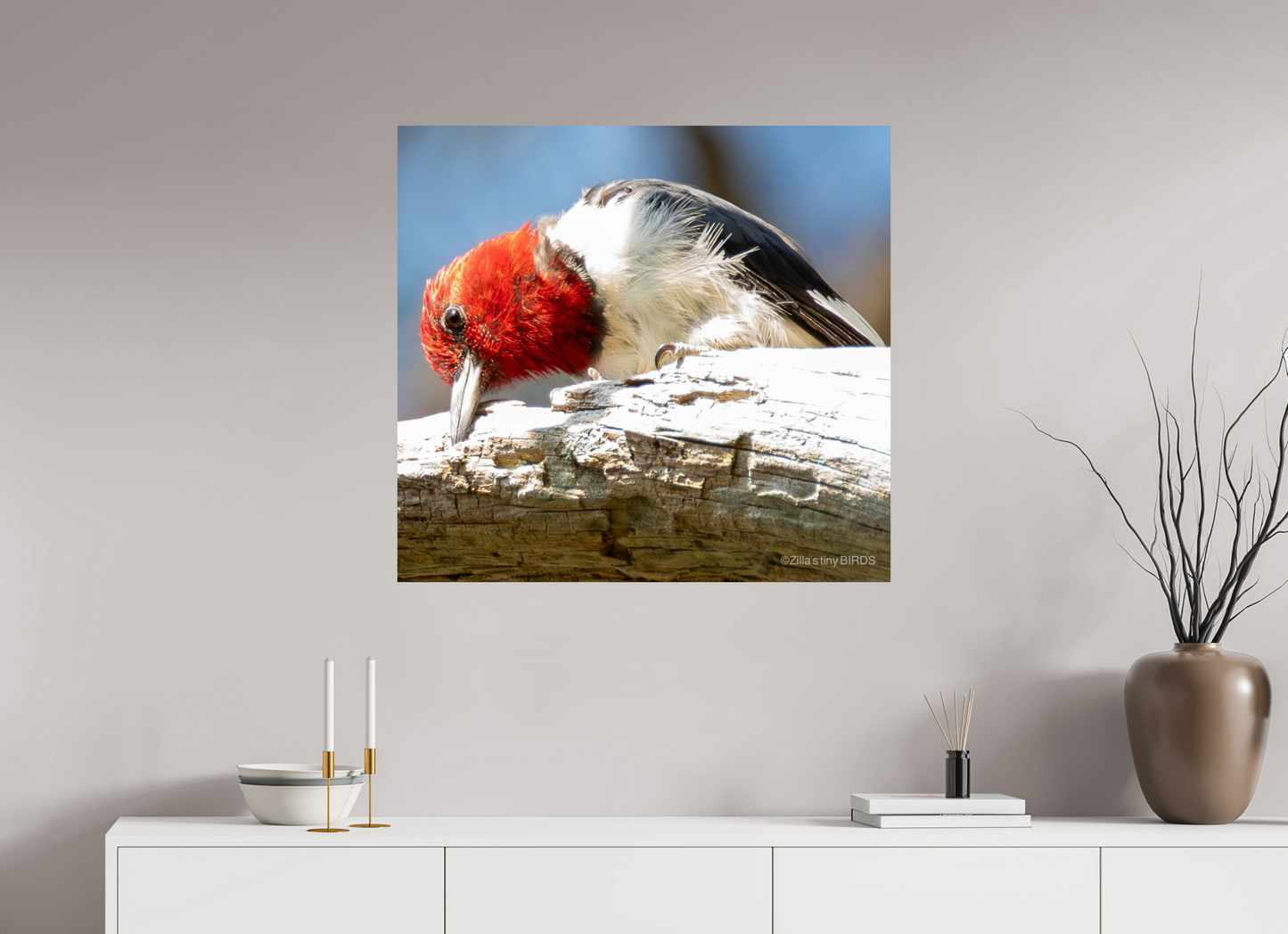 33.5 x 31″, Photo Print On Fuji Crystal DP II Zillas Zoom Image 270