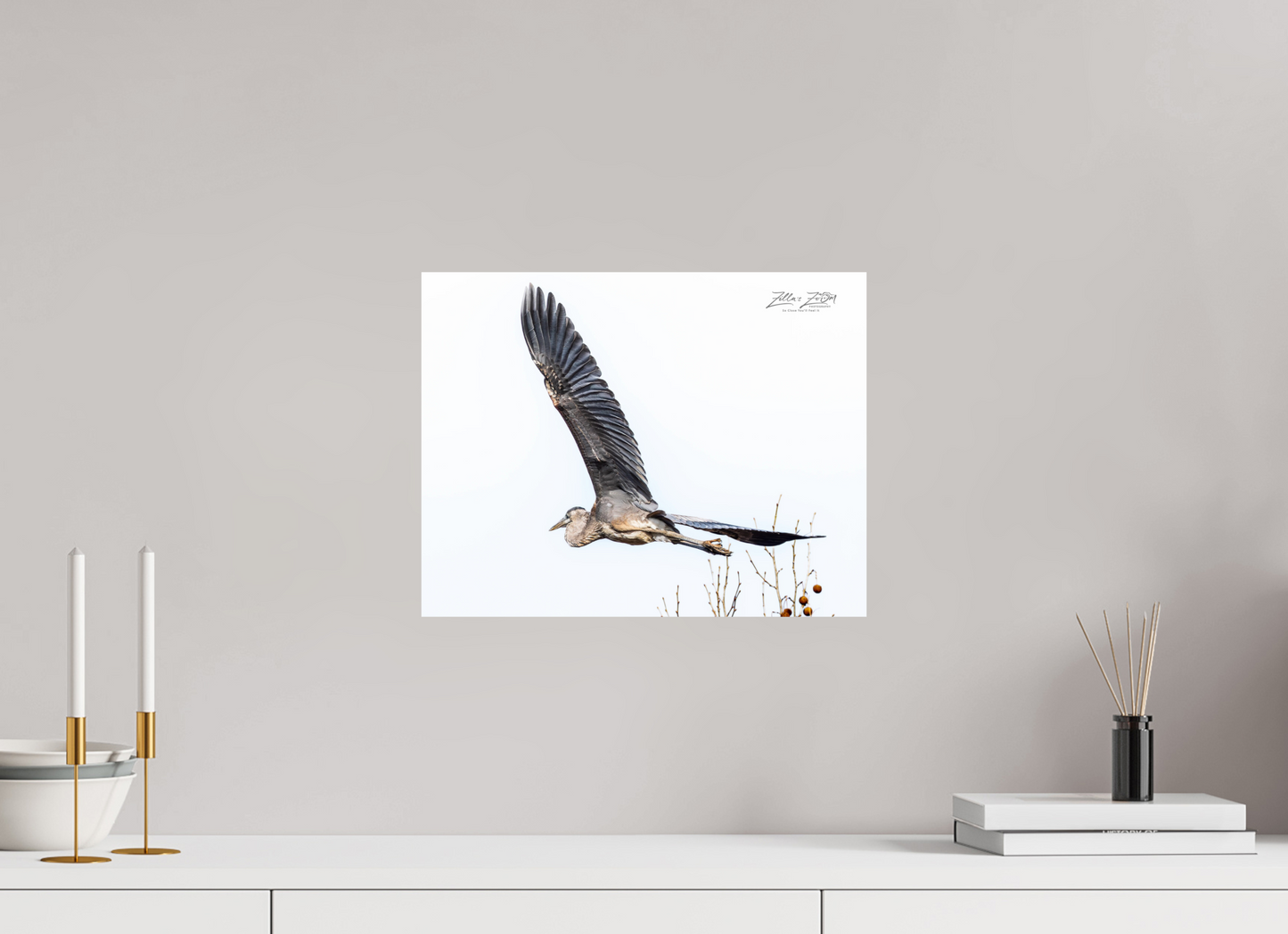 15.5 x 12″, Photo Print On Fuji Crystal DP II Zillas Zoom Image 277
