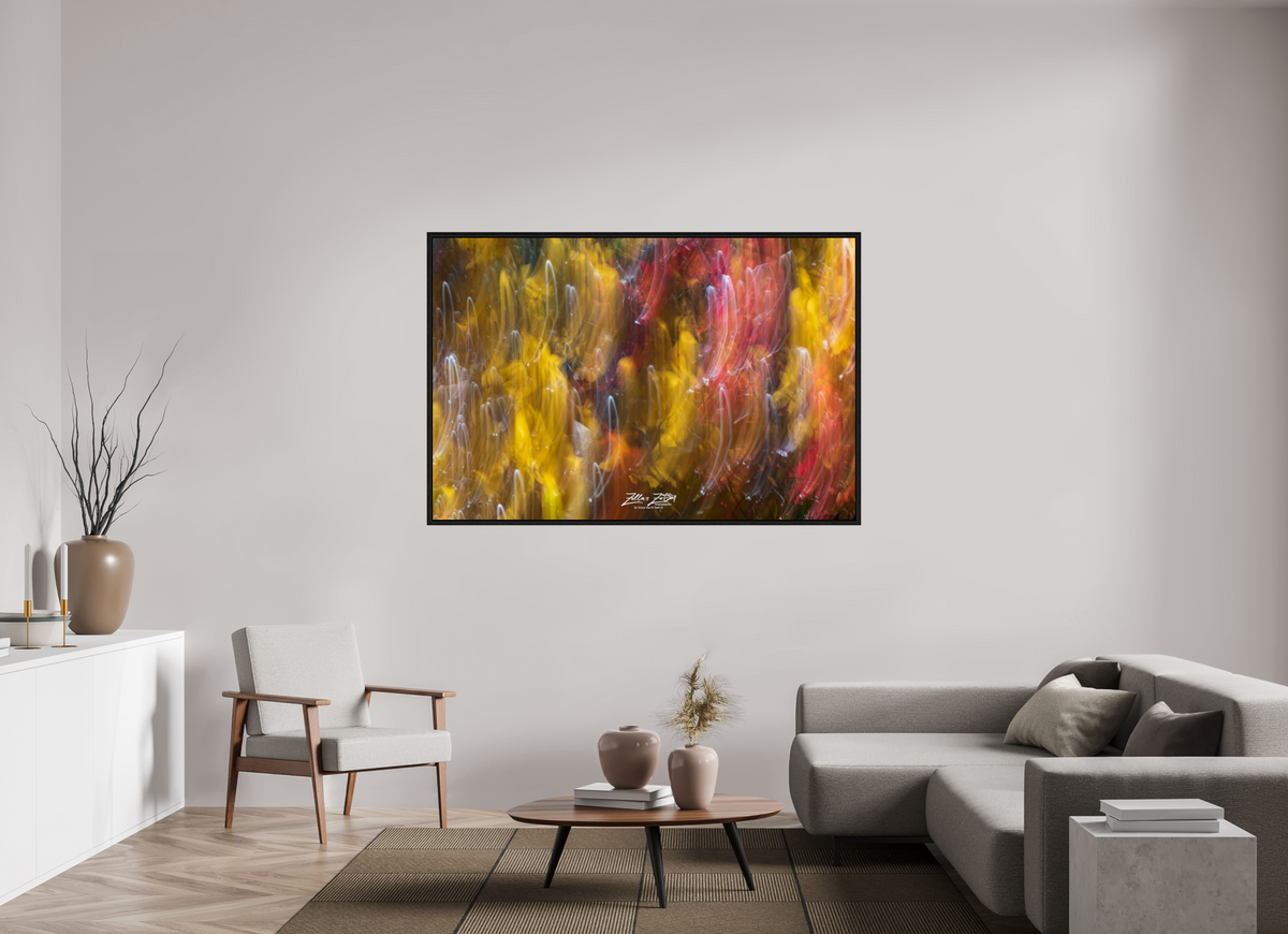 66 x 44″, Floater Frame Zillas Zoom Image 13