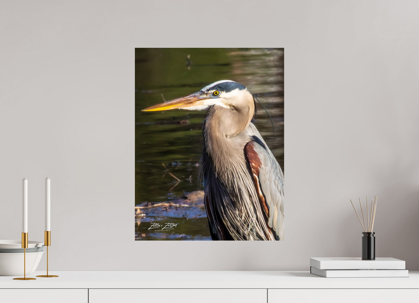 16 x 20.7″, Photo Print On Fuji Crystal DP II Zillas Zoom Image 407