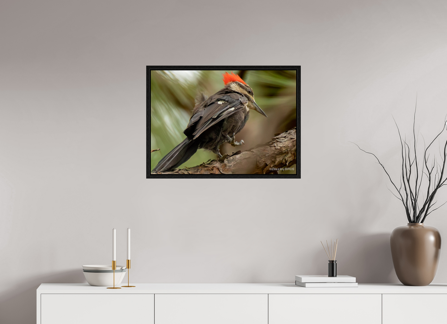 28 x 20″, Floater Frame Zillas Zoom Image 341