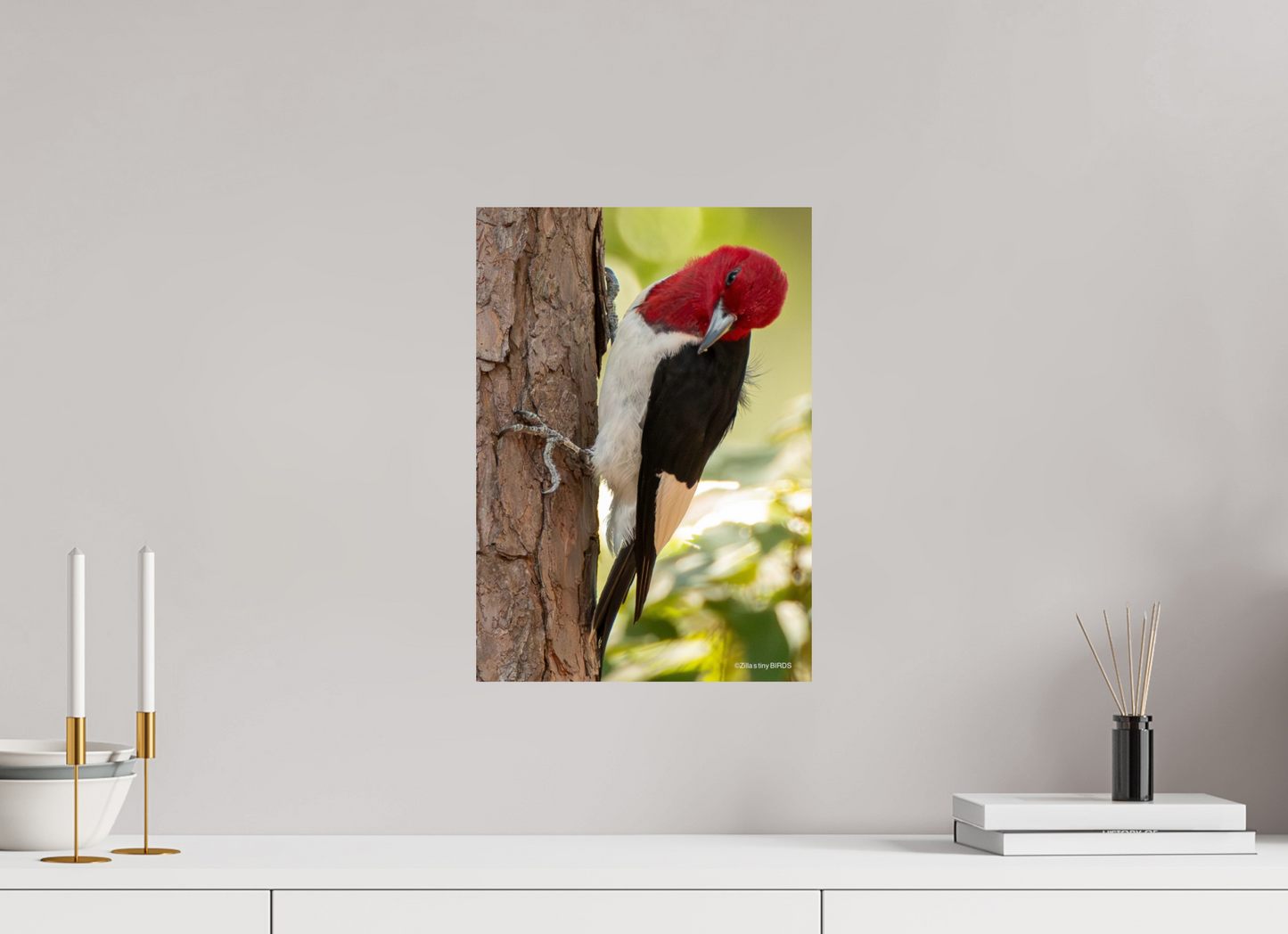 ISO A3 (29,7 x 42 cm), Photo Print On Fuji Crystal DP II Zillas Zoom Image 516