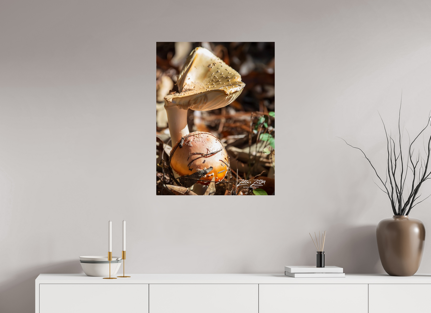 24 x 31.1″, Photo Print On Fuji Crystal DP II Zillas Zoom Image 116