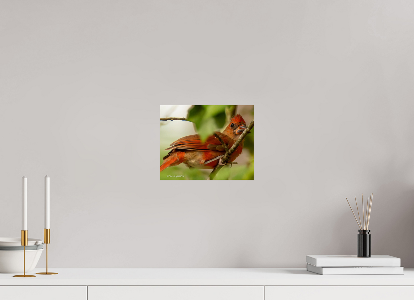 10 x 8″, Photo Print Under Acrylic Glass Zillas Zoom Image 317