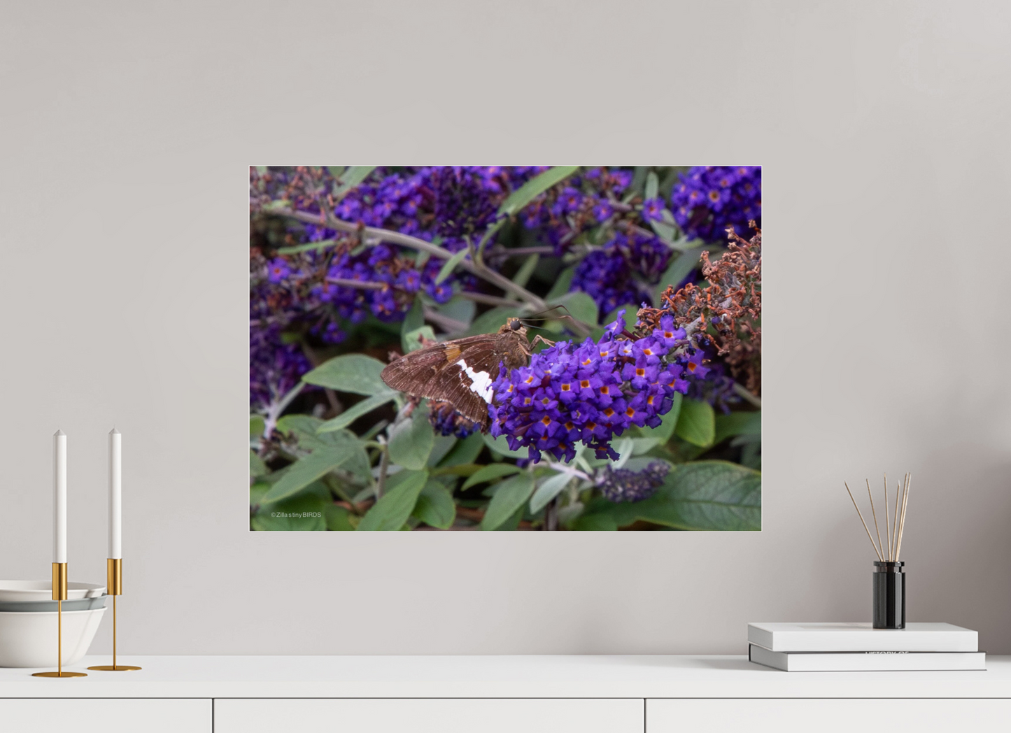 22.4 x 16″, Photo Print Under Acrylic Glass Zillas Zoom Image 60