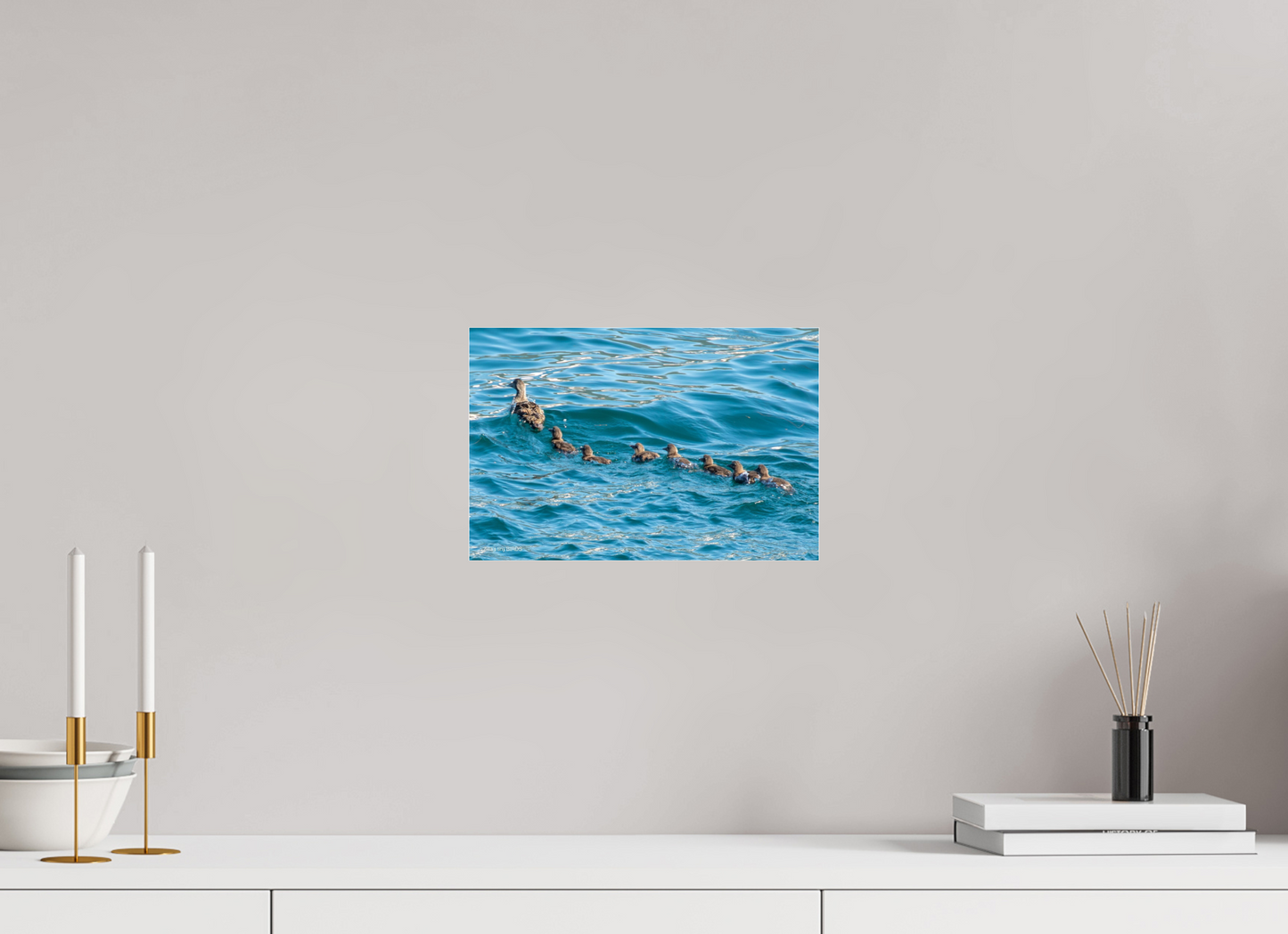 12 x 8″, Photo Print Under Acrylic Glass Zillas Zoom Image 355