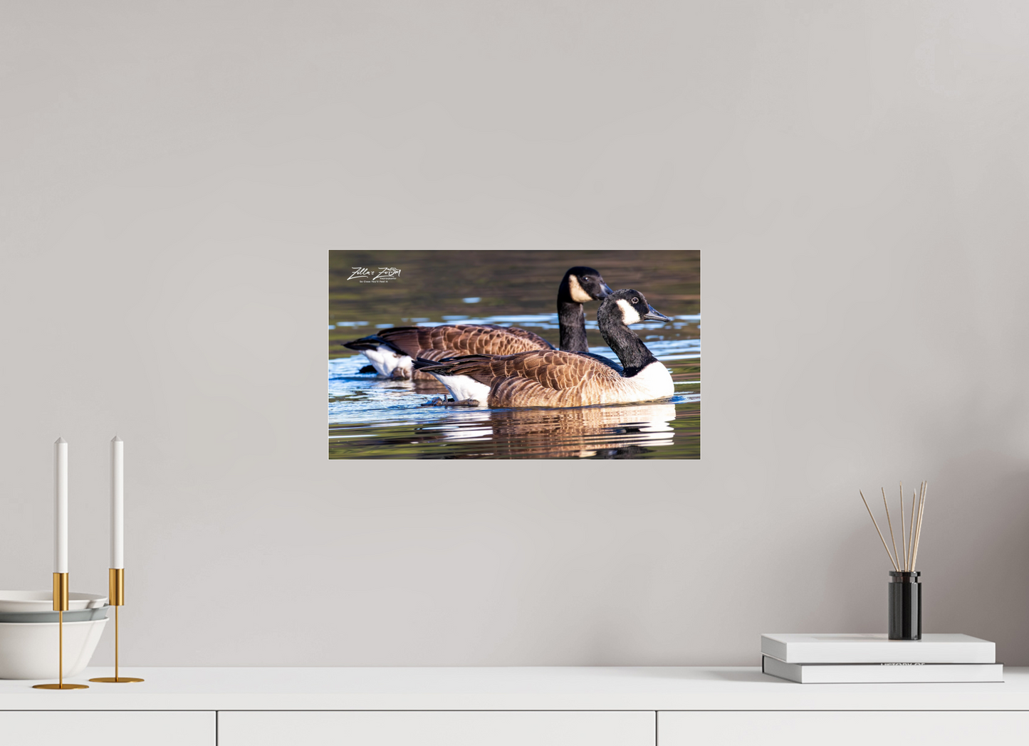 16 x 9″, Photo Print Under Acrylic Glass Zillas Zoom Image 278