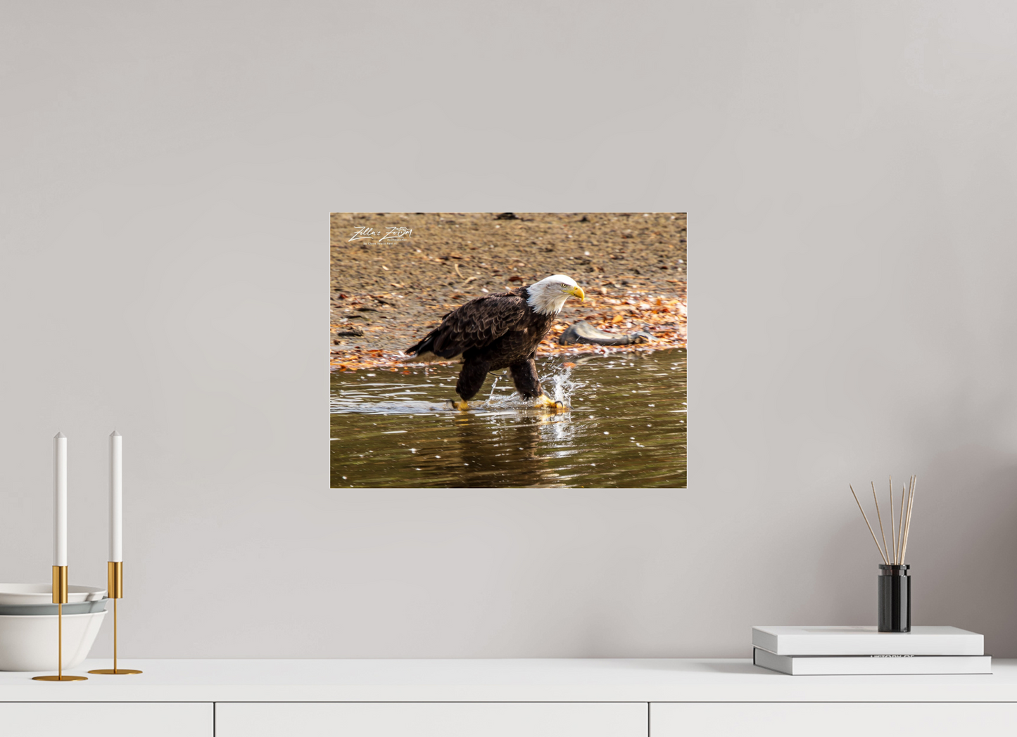 15.5 x 12″, Photo Print Under Acrylic Glass Zillas Zoom Image 303
