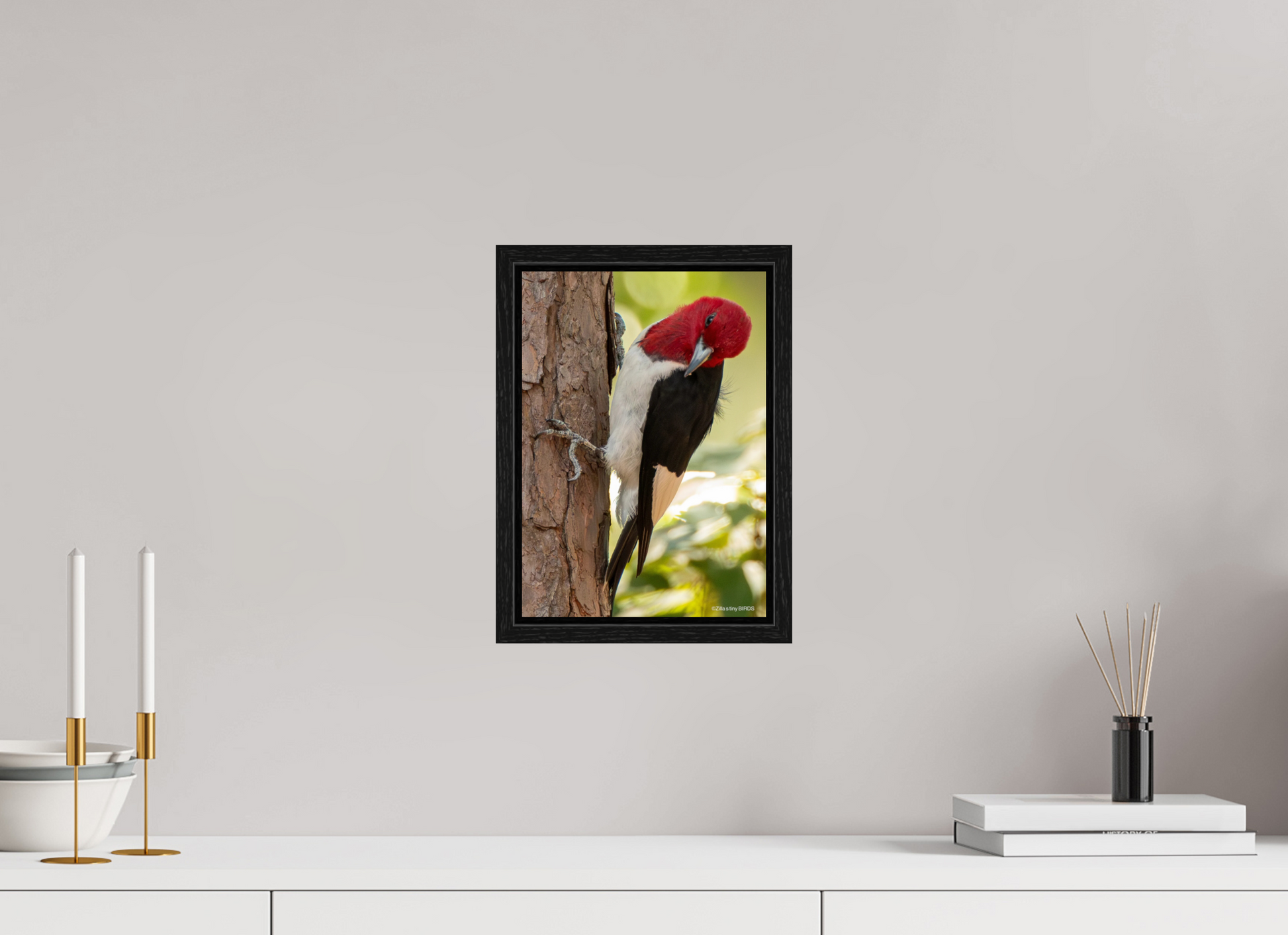 ISO A4 (21 x 29,7 cm), Floater Frame Zillas Zoom Image 516