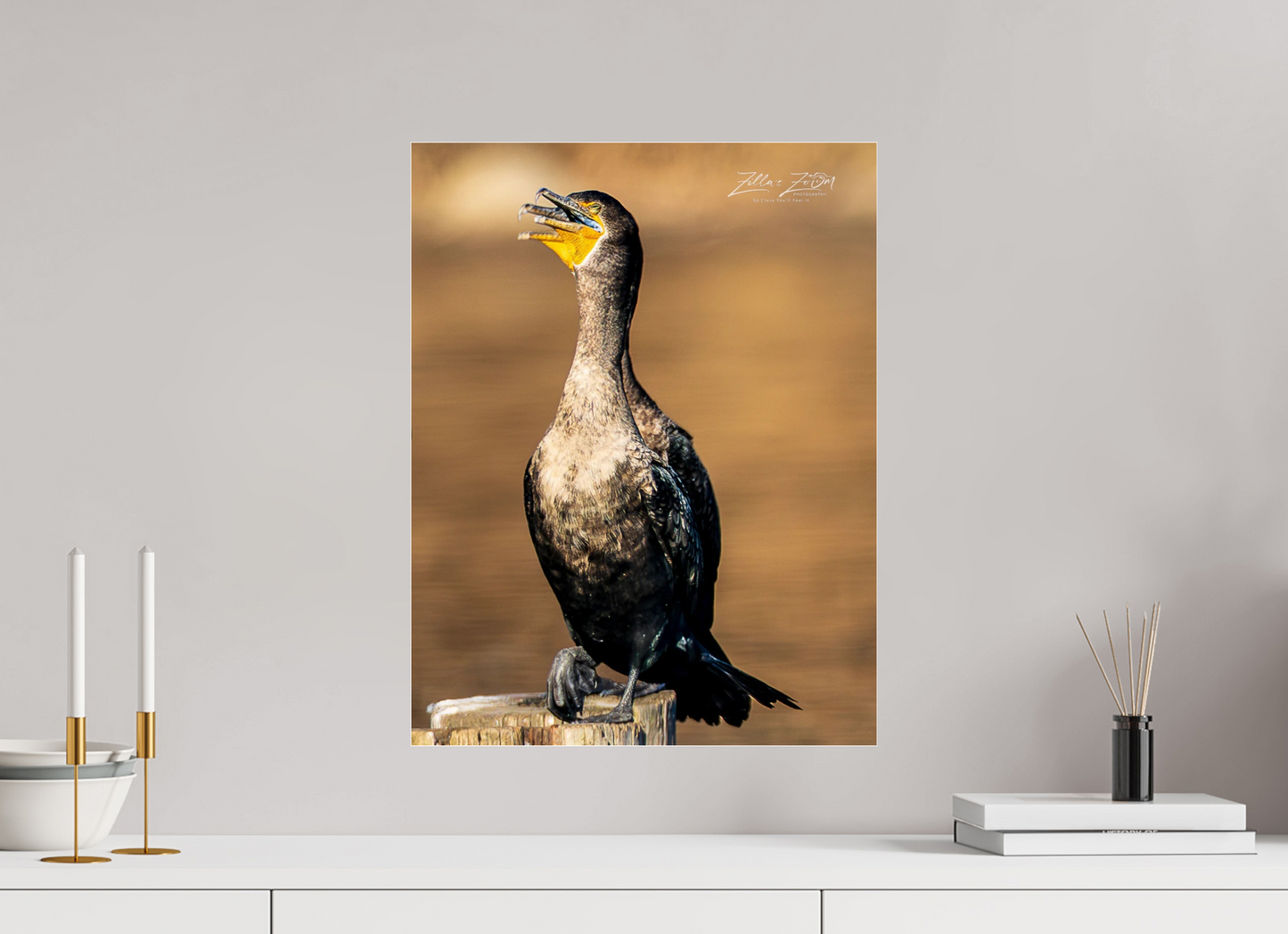 16 x 20.7″, Photo Print Under Acrylic Glass Zillas Zoom Image 421