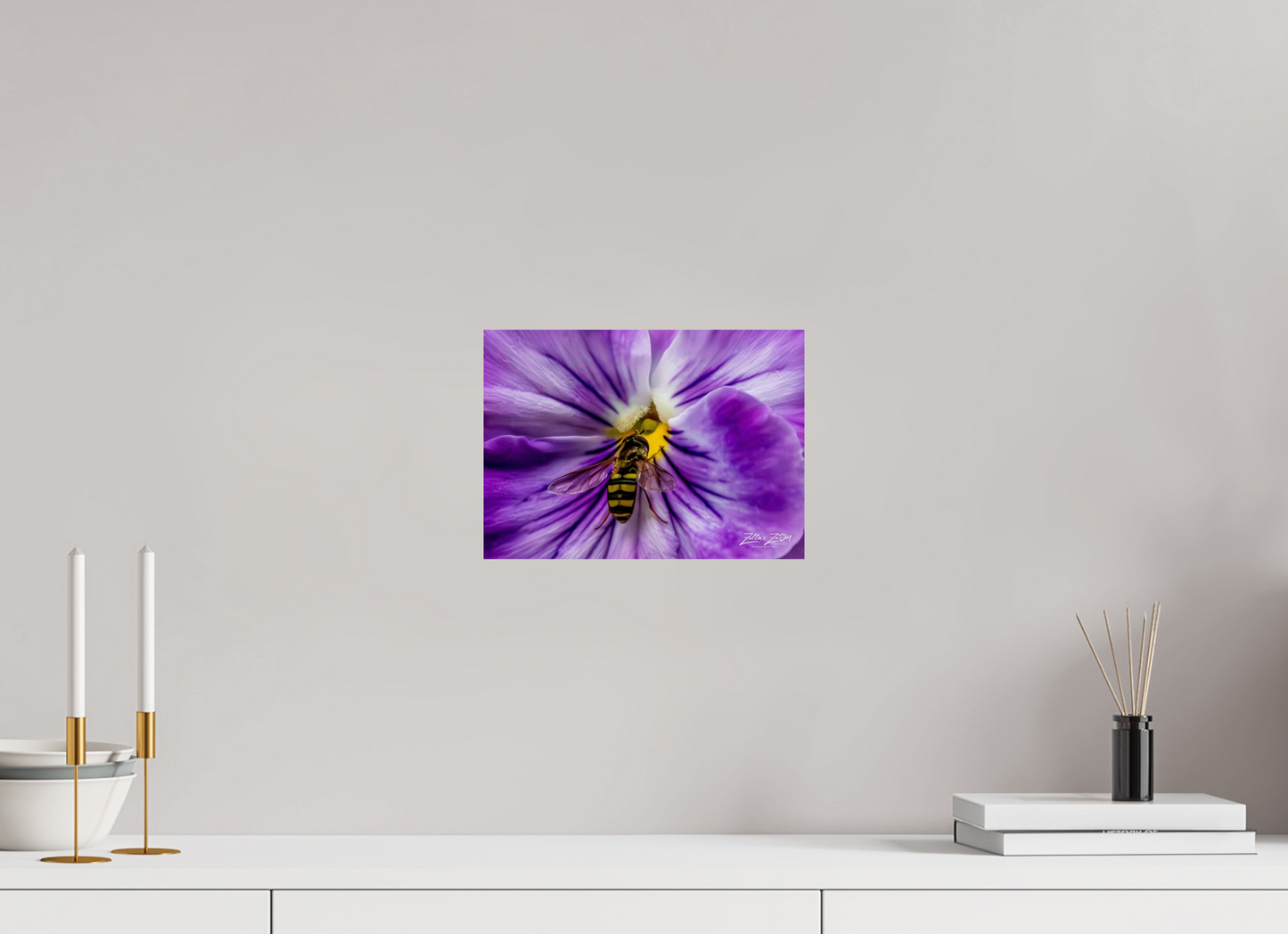 11.2 x 8″, Photo Print On Fuji Crystal DP II Zillas Zoom Image 103