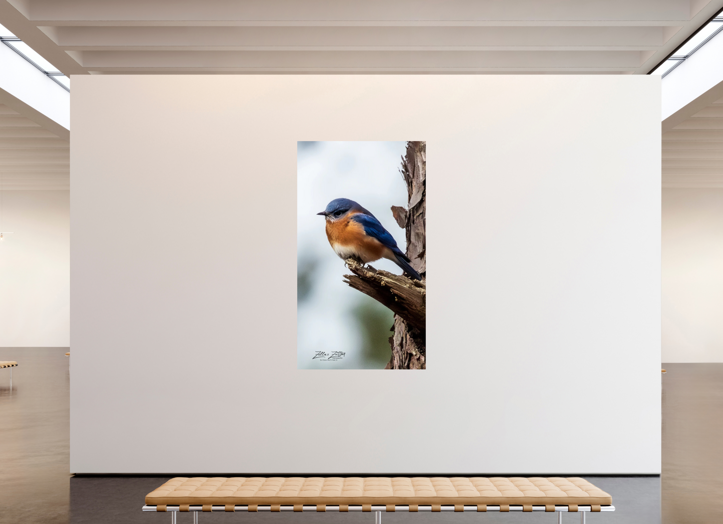 45 x 80″, Photo Print On Fuji Crystal DP II Zillas Zoom Image 458
