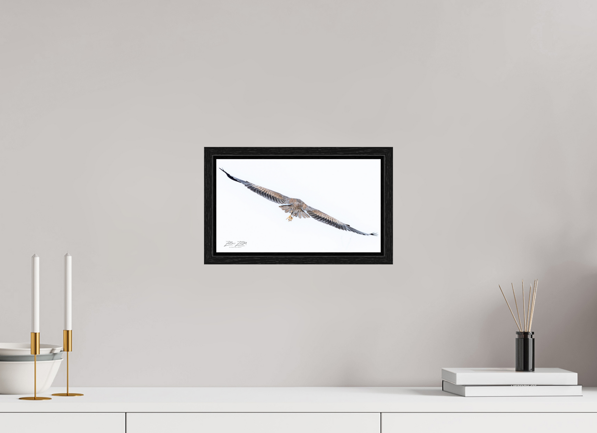 12 x 6.8″, Floater Frame Zillas Zoom Image 275