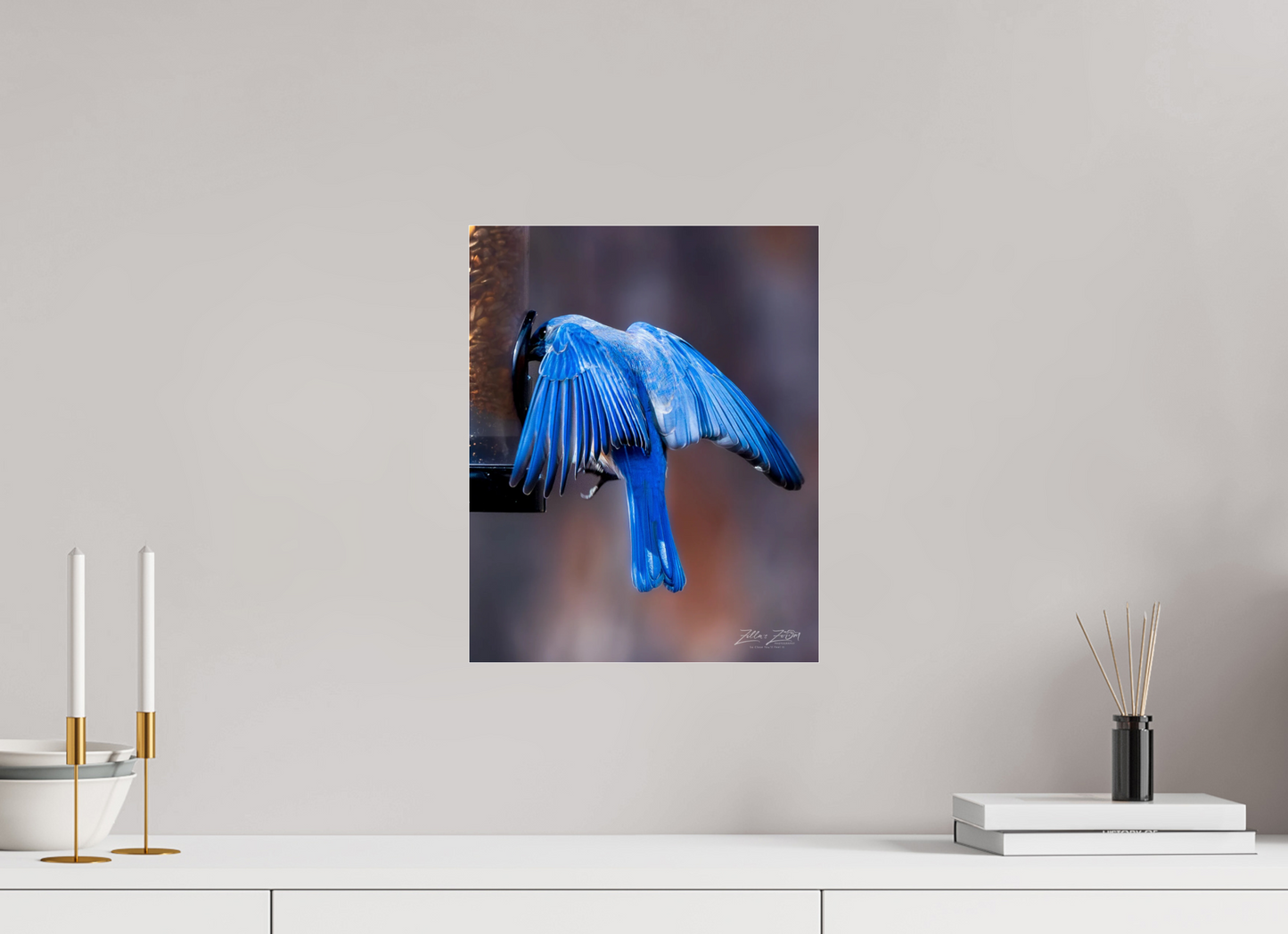 12 x 15″, Photo Print Under Acrylic Glass Zillas Zoom Image 511