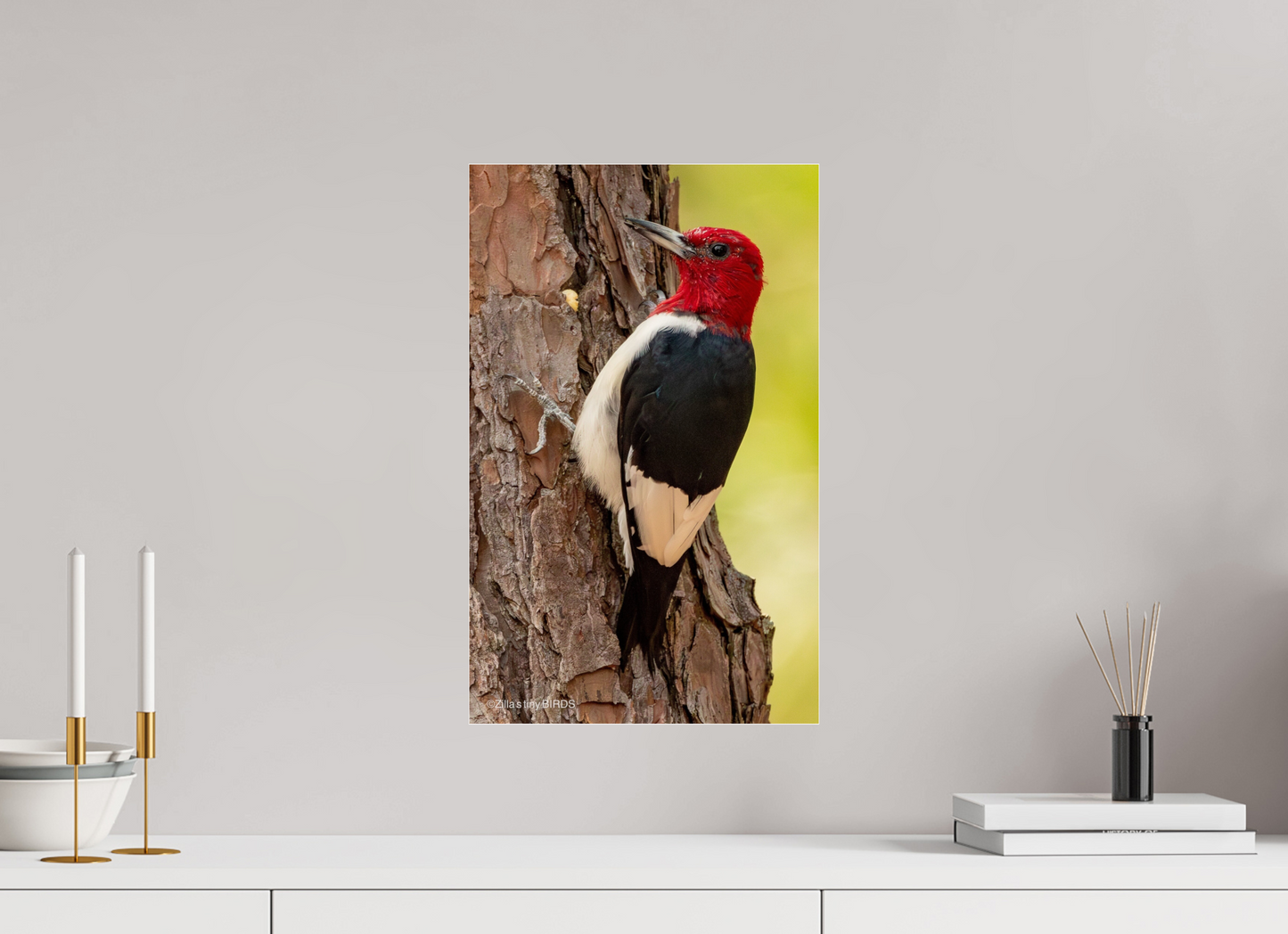 12 x 19.2″, Photo Print Under Acrylic Glass Zillas Zoom Image 463