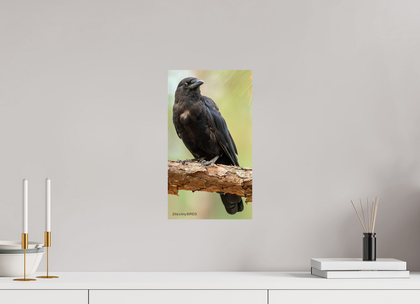 9 x 16″, Photo Print On Fuji Crystal DP II Zillas Zoom Image 479
