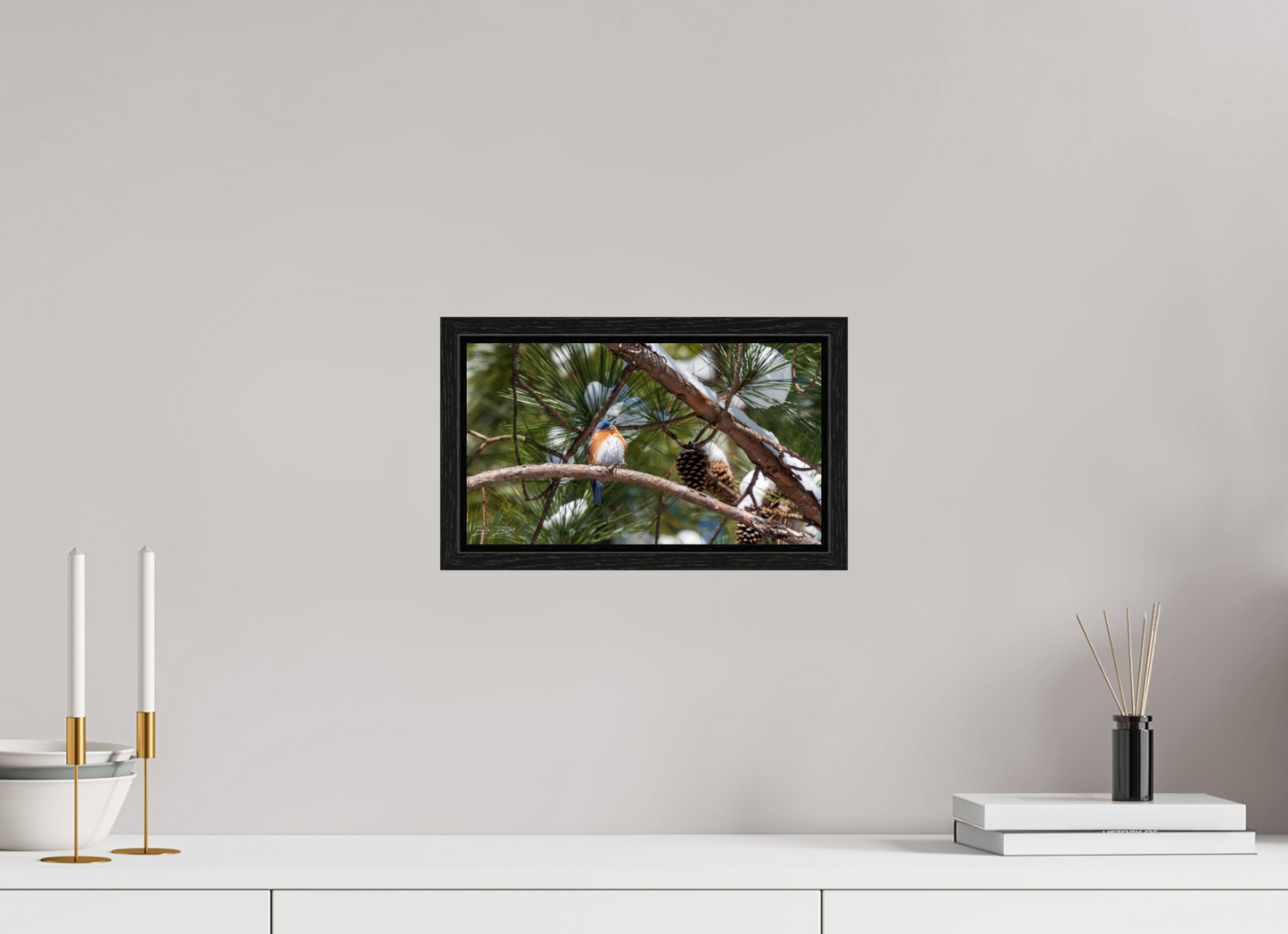 12 x 6.8″, Floater Frame Zillas Zoom Image 314