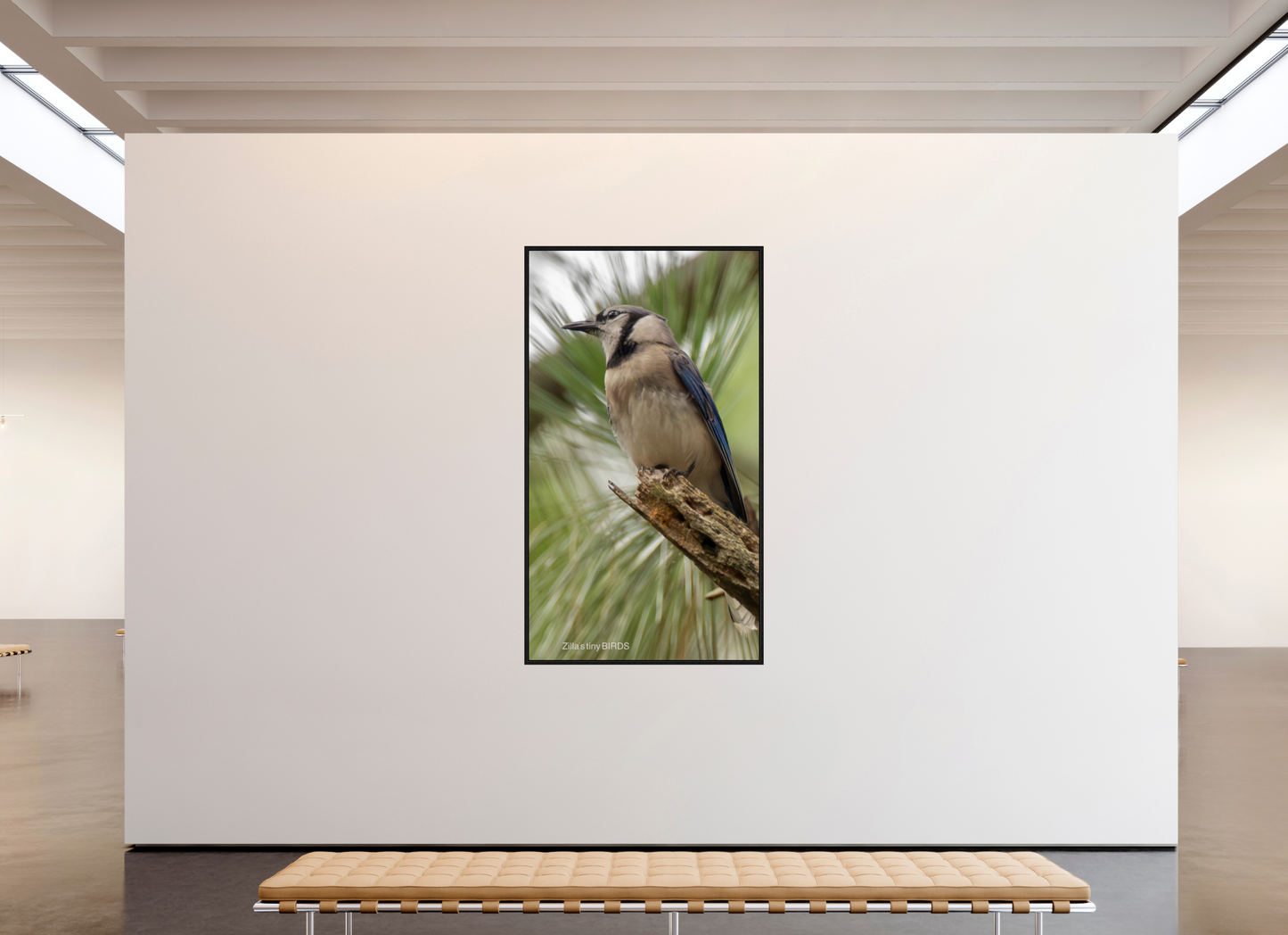 45 x 80″, Floater Frame Zillas Zoom Image 488