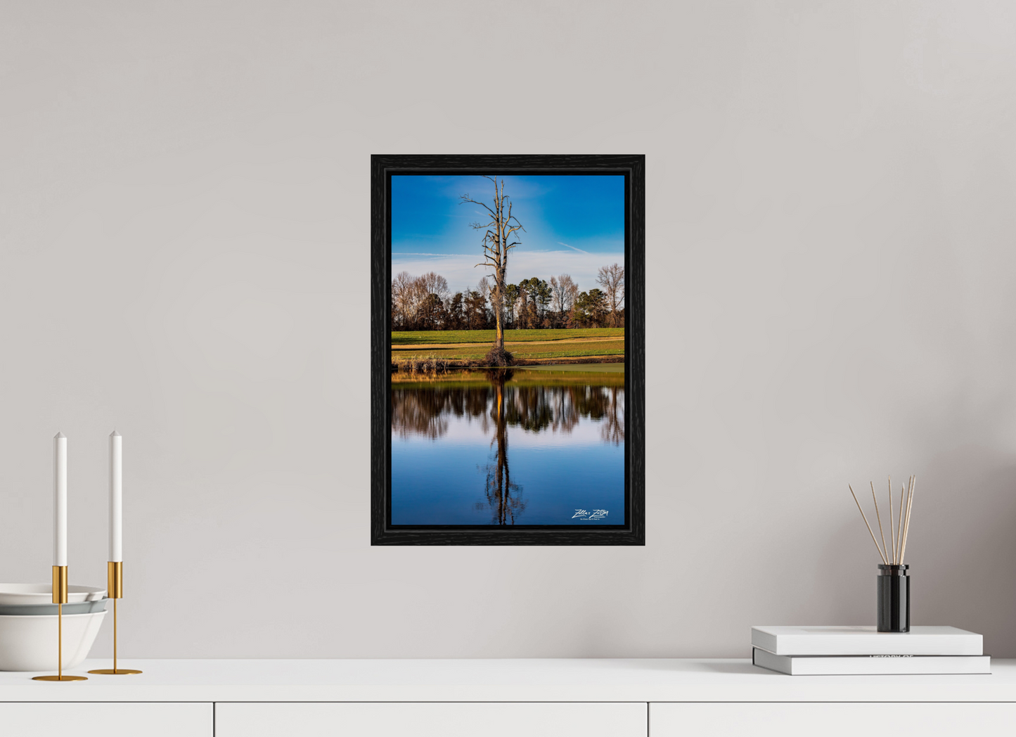 10 x 15″, Floater Frame Zillas Zoom Image 251
