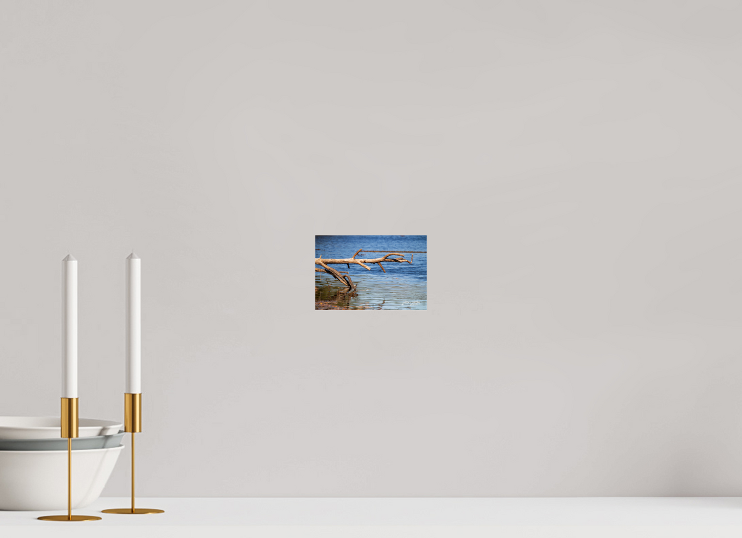 6 x 4″, Photo Print Under Acrylic Glass Zillas Zoom Image 213