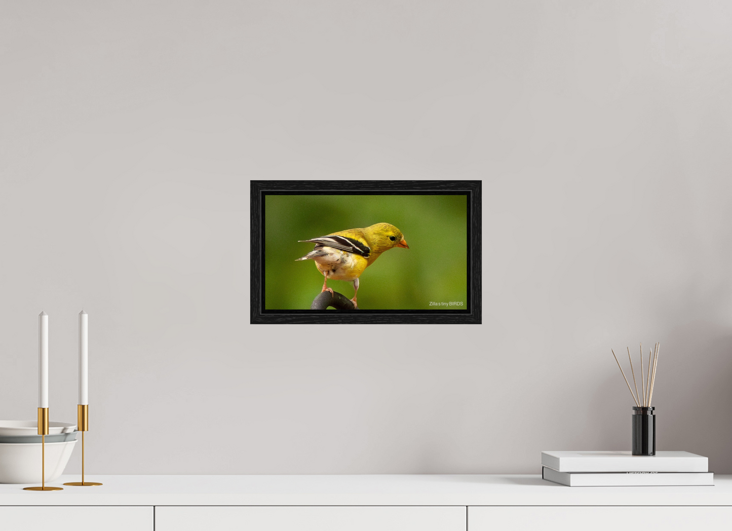 12 x 6.8″, Floater Frame Zillas Zoom Image 380