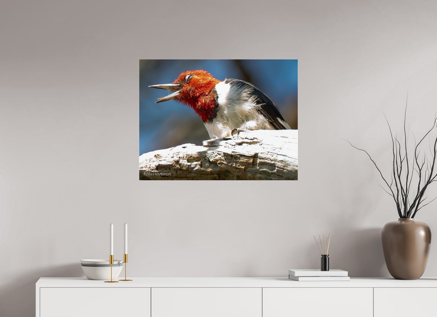 31.5 x 24″, Photo Print Under Acrylic Glass Zillas Zoom Image 269