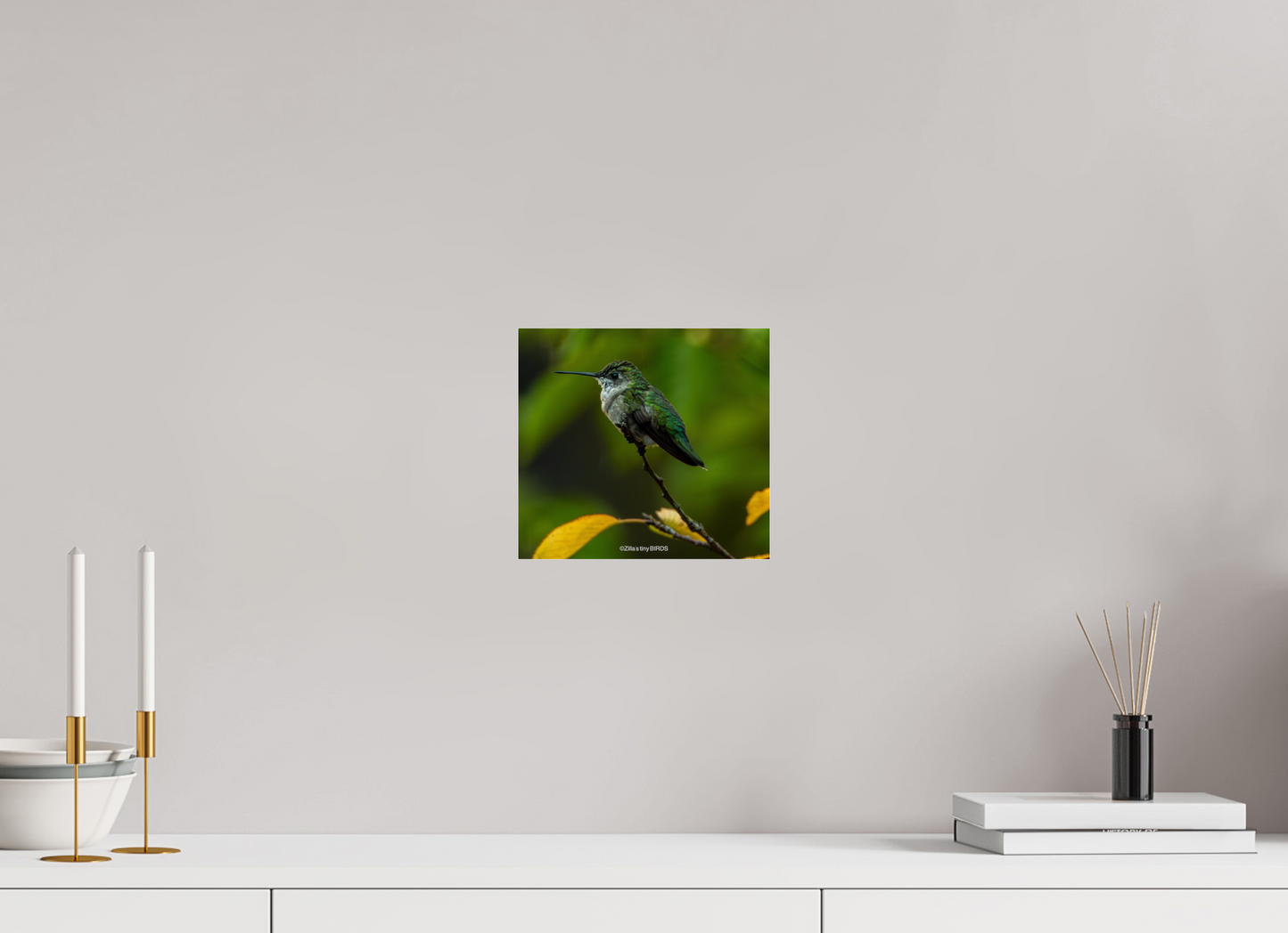 8.7 x 8″, Photo Print Under Acrylic Glass Zillas Zoom Image 311