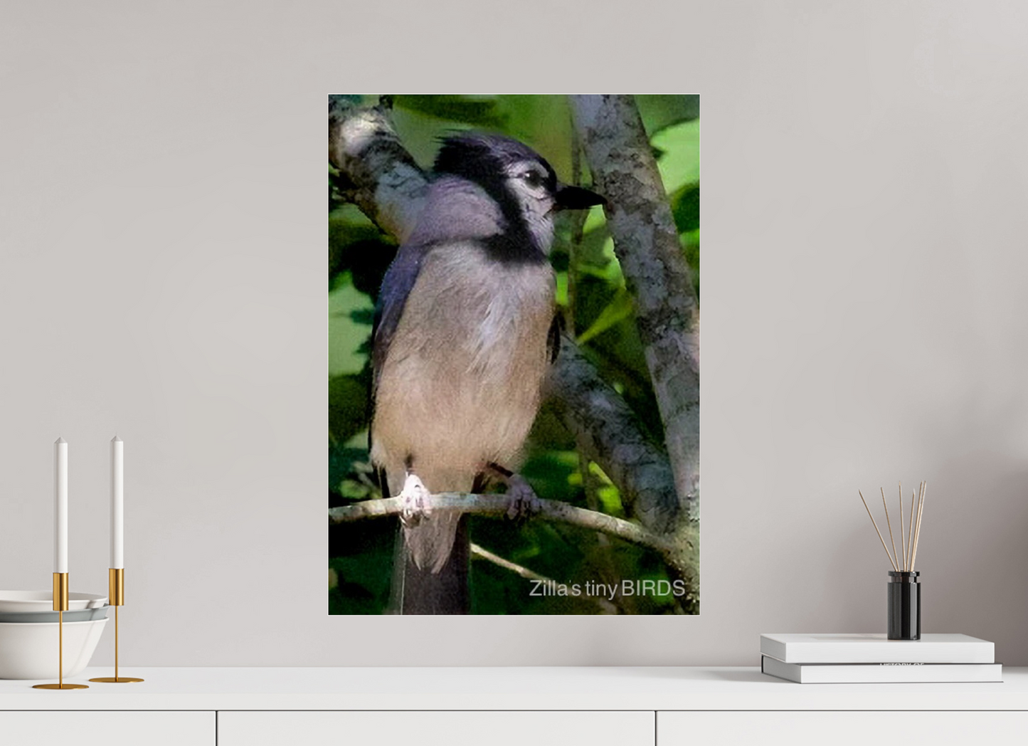 16 x 22.4″, Photo Print Under Acrylic Glass Zillas Zoom Image 470