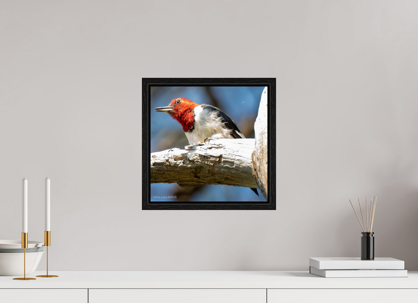 12.2 x 12″, Floater Frame Zillas Zoom Image 273