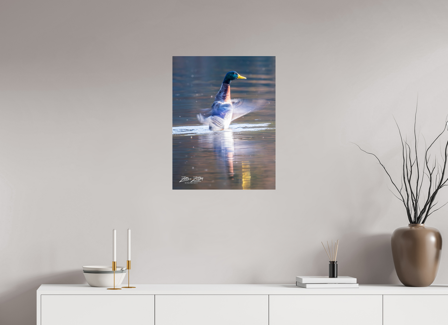 20 x 25.9″, Photo Print Under Acrylic Glass Zillas Zoom Image 448