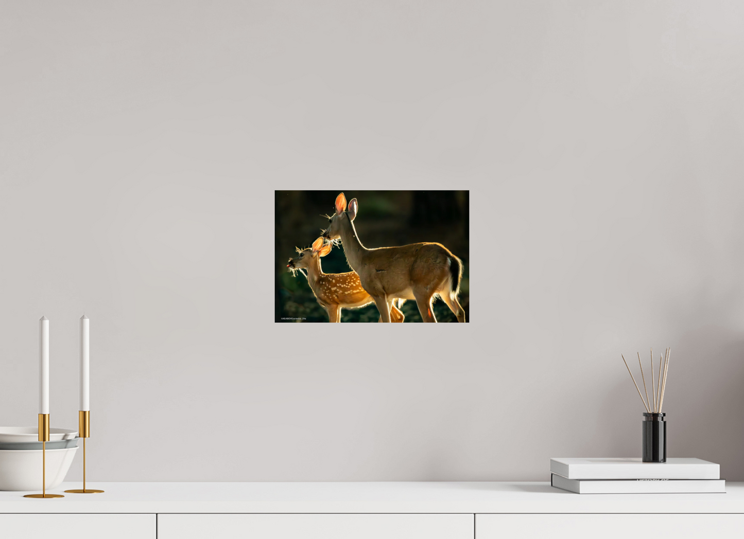 11.7 x 8″, Photo Print On Fuji Crystal DP II Zillas zoom image 146