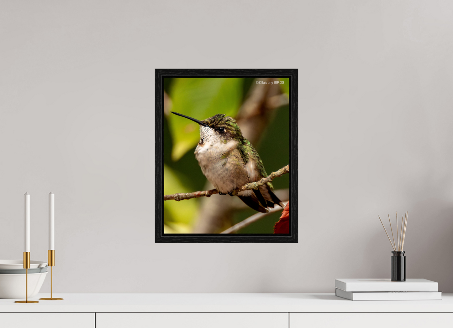 12 x 15″, Floater Frame Zillas Zoom Image 515