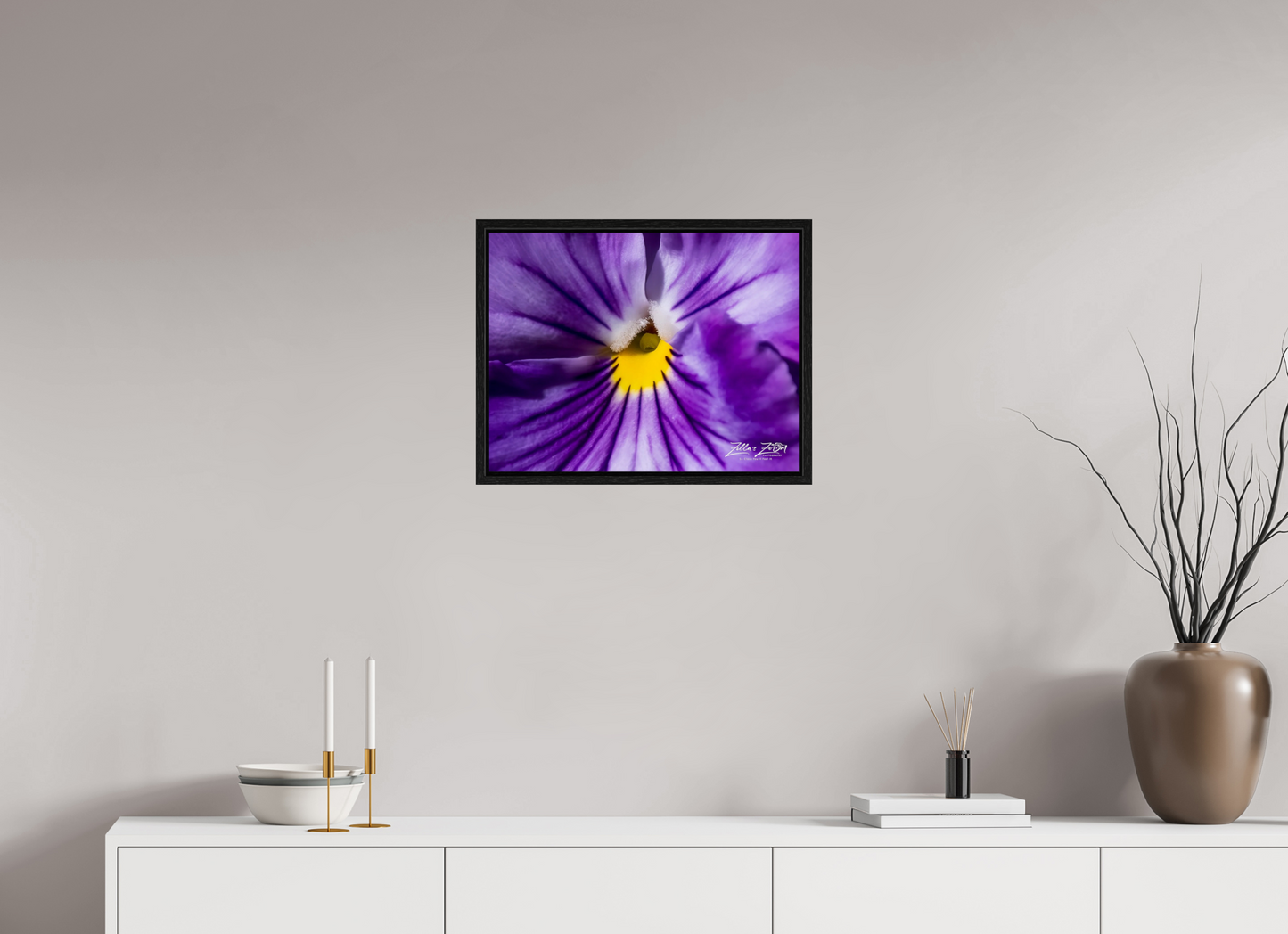 20.7 x 16″, Floater Frame Zillas Zoom Image 105