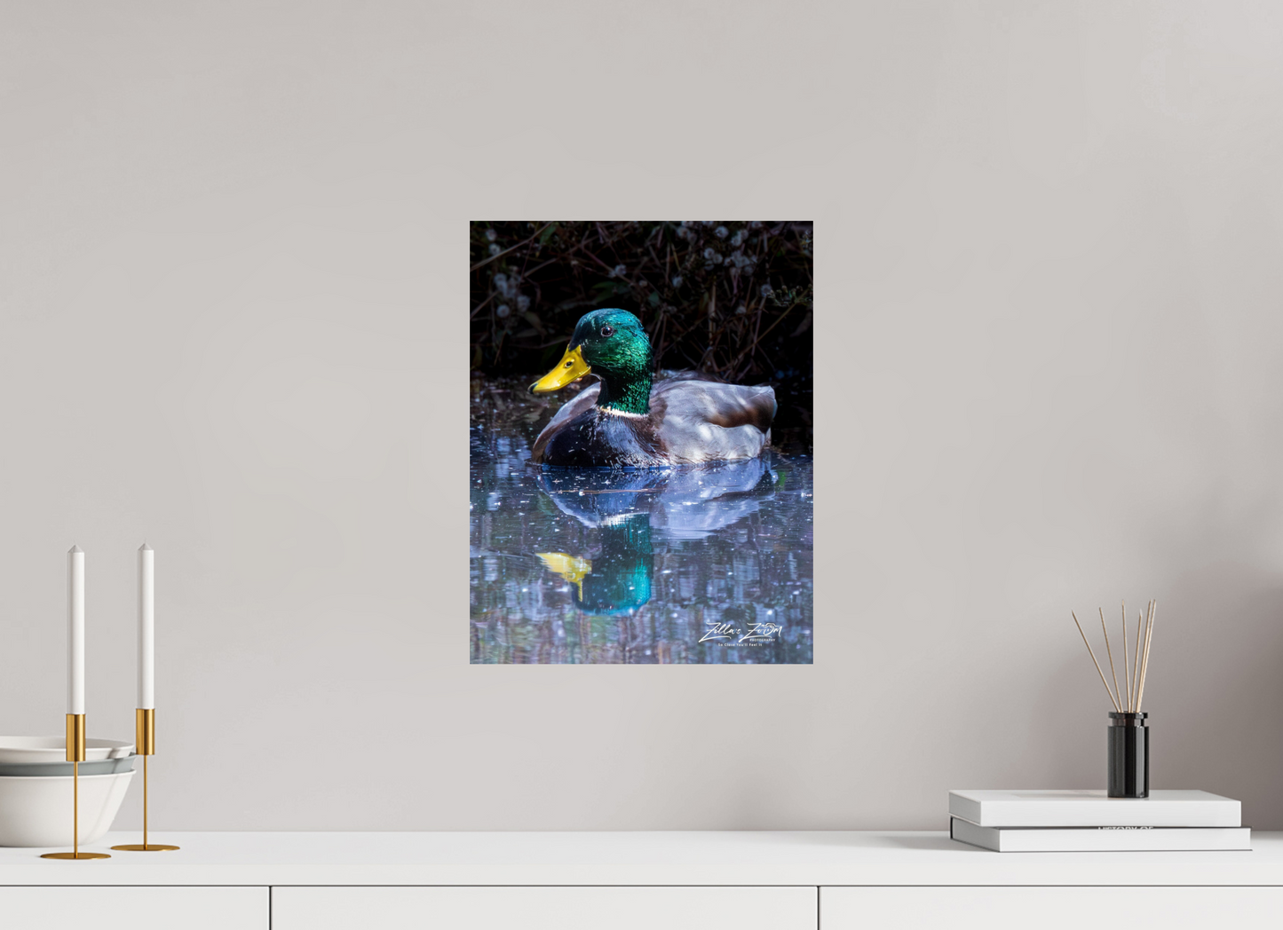 12 x 15.5″, Photo Print On Fuji Crystal DP II Zillas Zoom Image 422