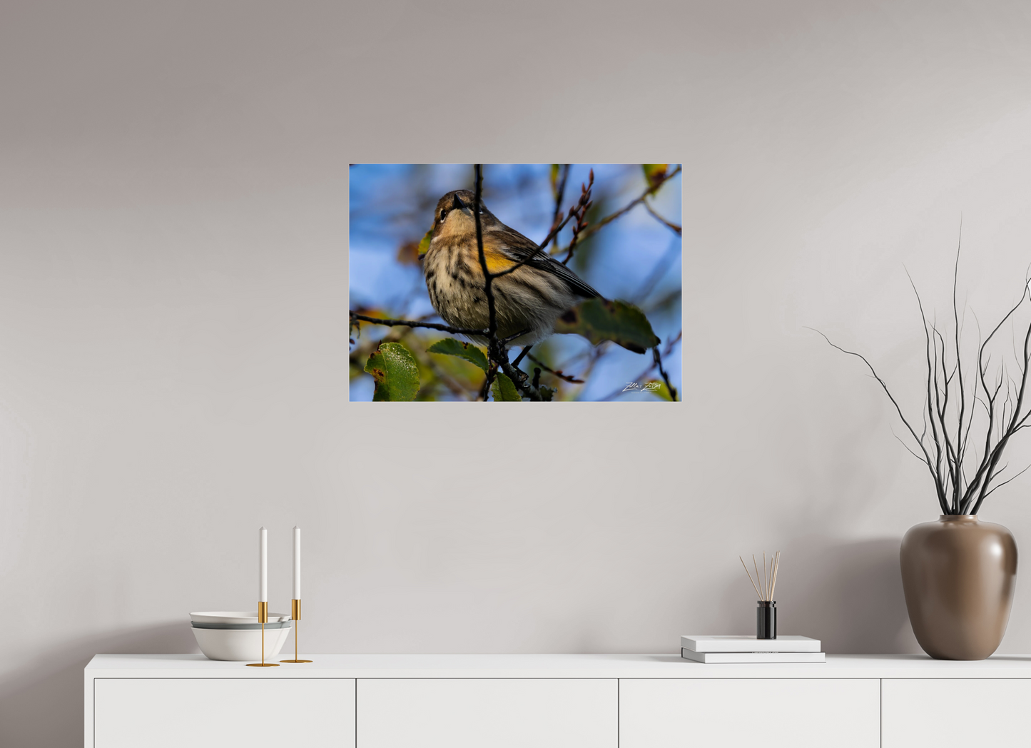 28 x 20″, Photo Print Under Acrylic Glass Zillas Zoom Image 356