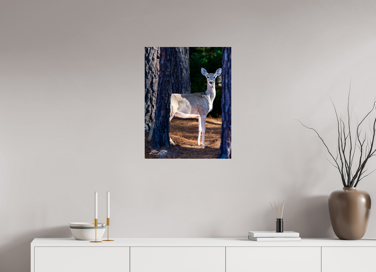 20 x 25.9″, Photo Print Under Acrylic Glass Zillas zoom image 154