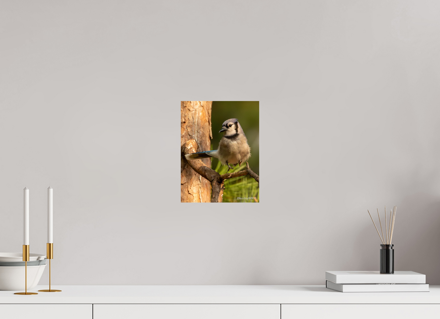 8 x 10.4″, Photo Print On Fuji Crystal DP II Zillas Zoom Image 520
