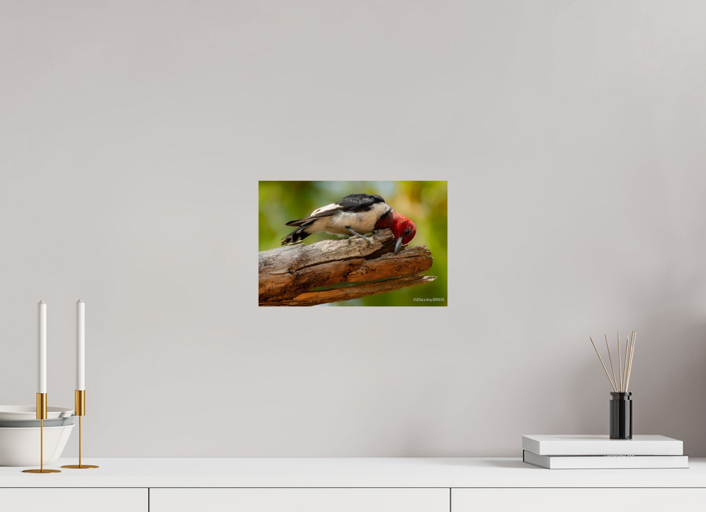 12 x 8″, Photo Print On Fuji Crystal DP II Zillas Zoom Image 329