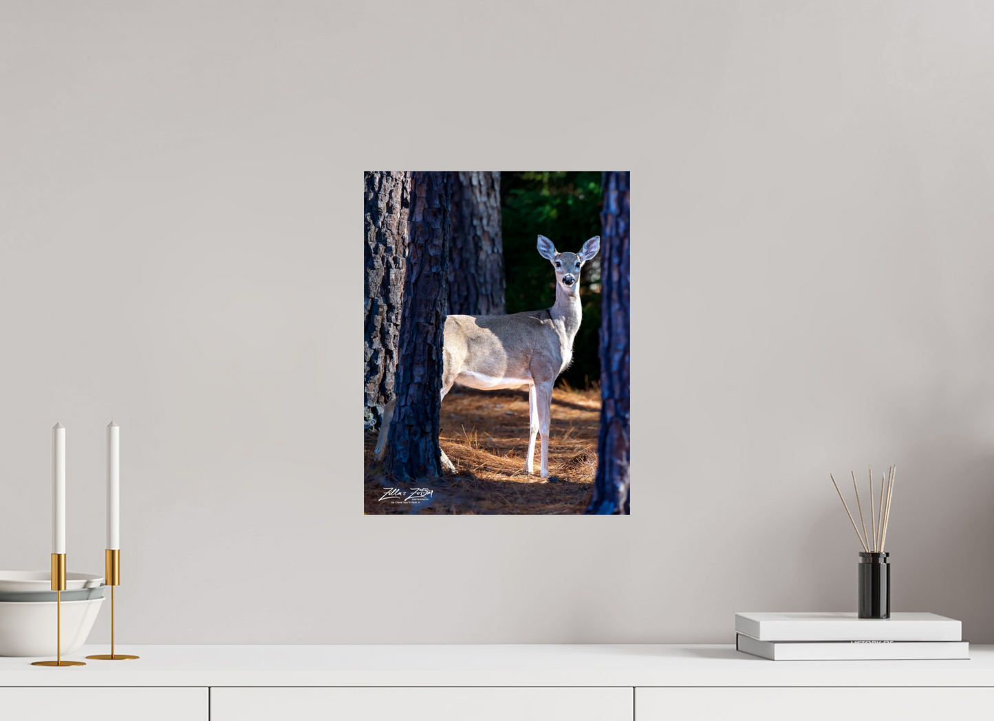 12 x 15.5″, Photo Print On Fuji Crystal DP II Zillas zoom image 154