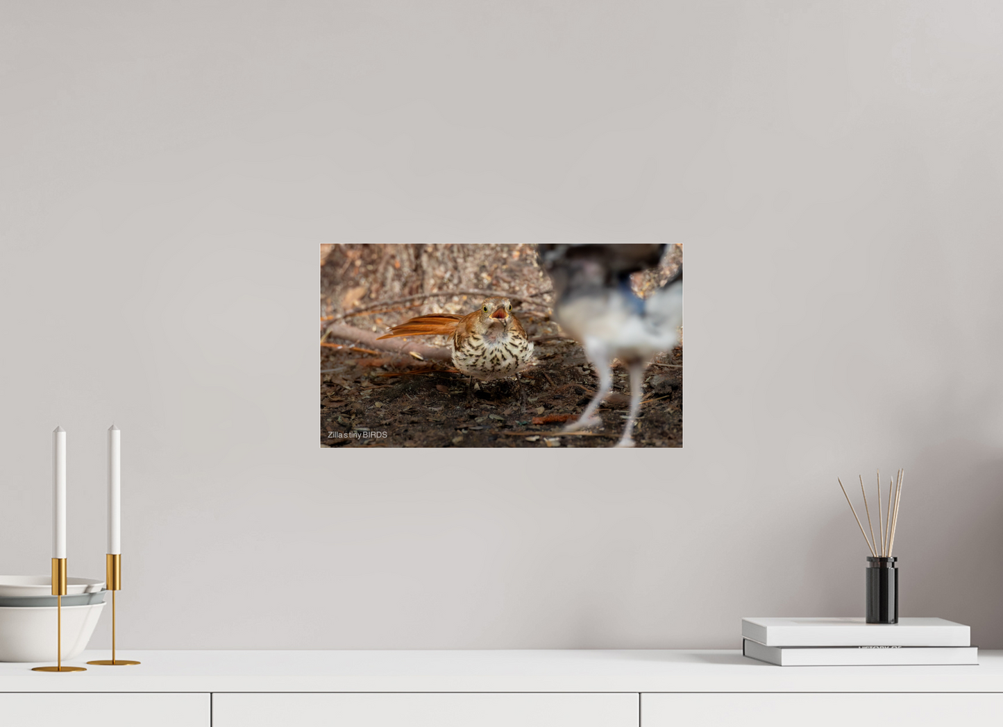 16 x 9″, Photo Print Under Acrylic Glass Zillas Zoom Image 383