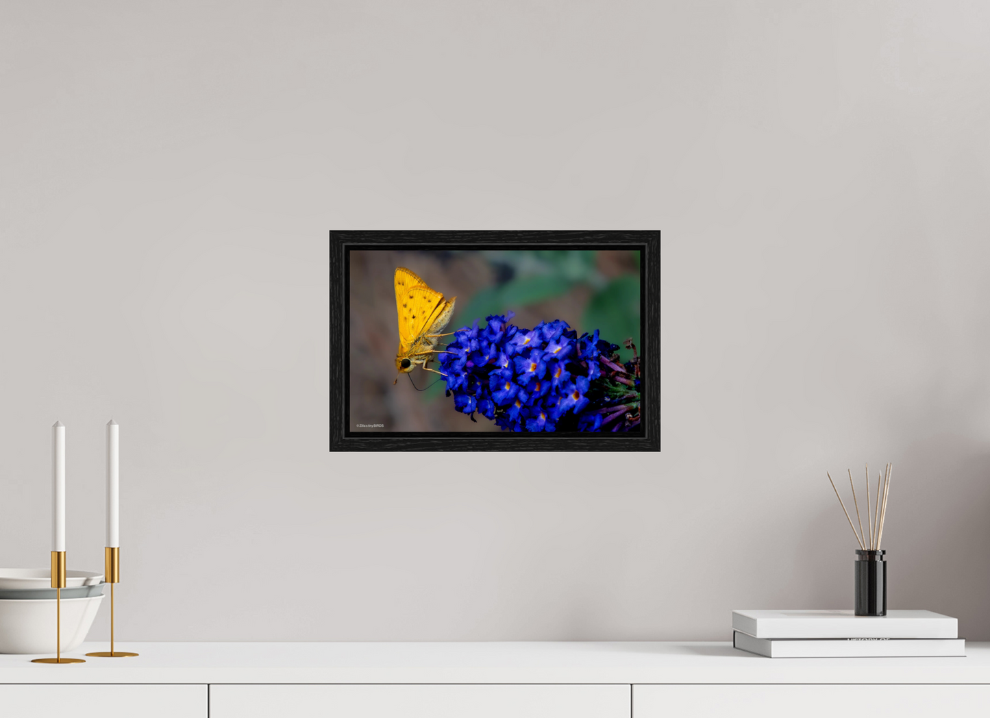 12.8 x 8″, Floater Frame Zillas Zoom Image 61