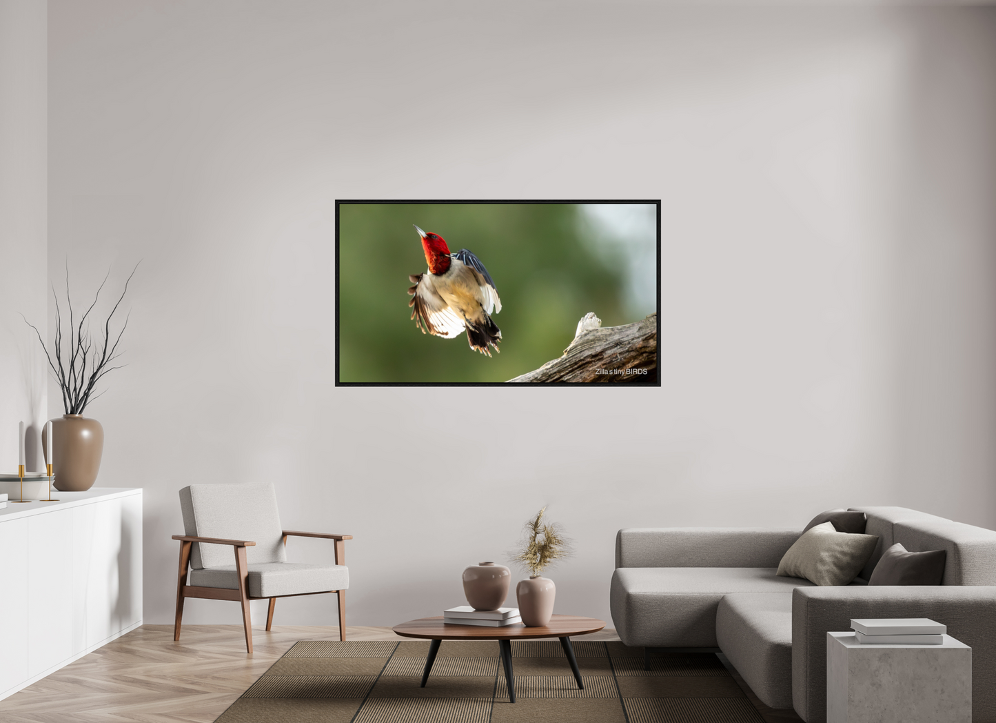 64 x 36″, Floater Frame Zillas Zoom Image 374