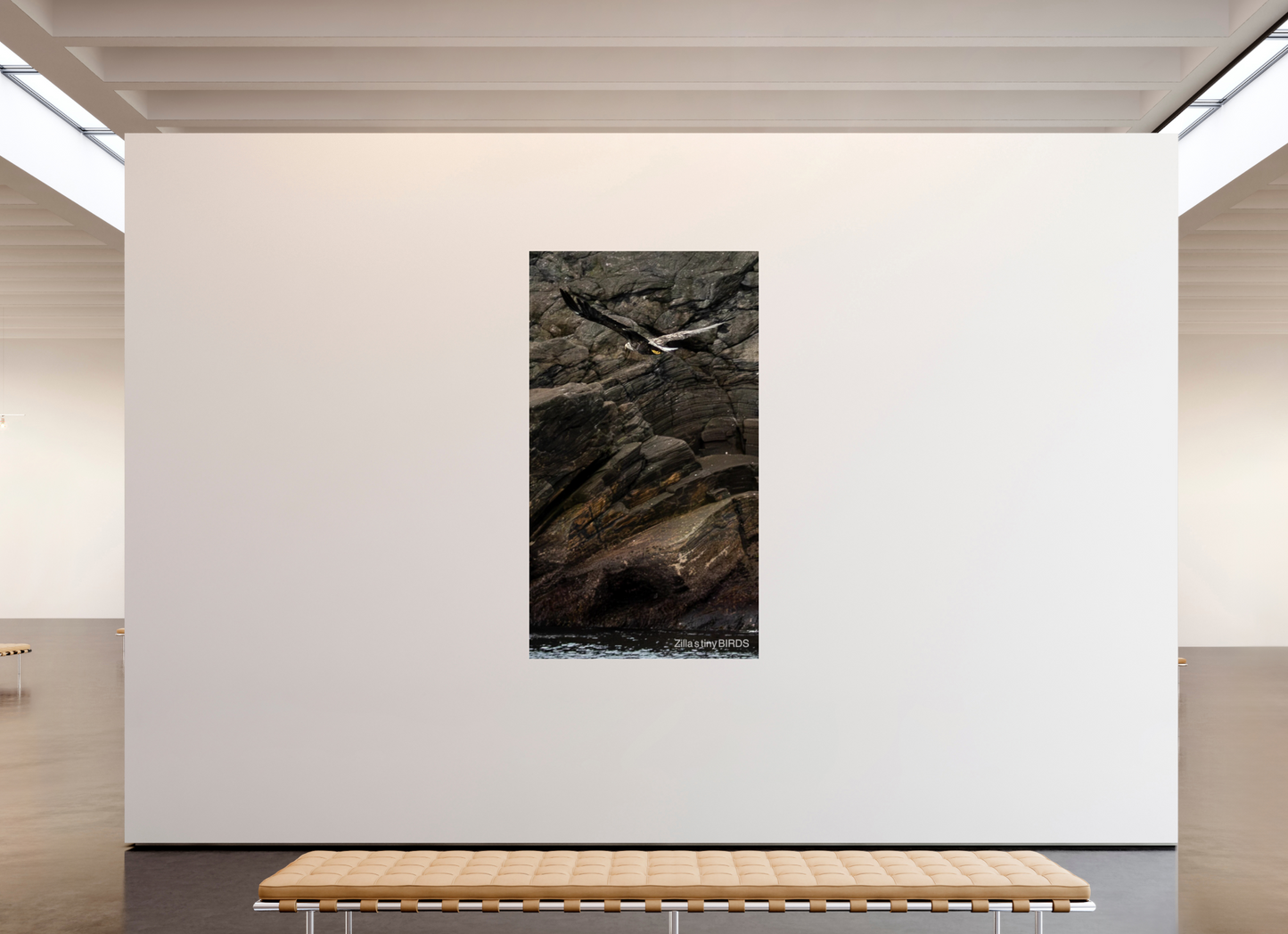 45 x 80″, Photo Print Under Acrylic Glass Zillas Zoom Image 244