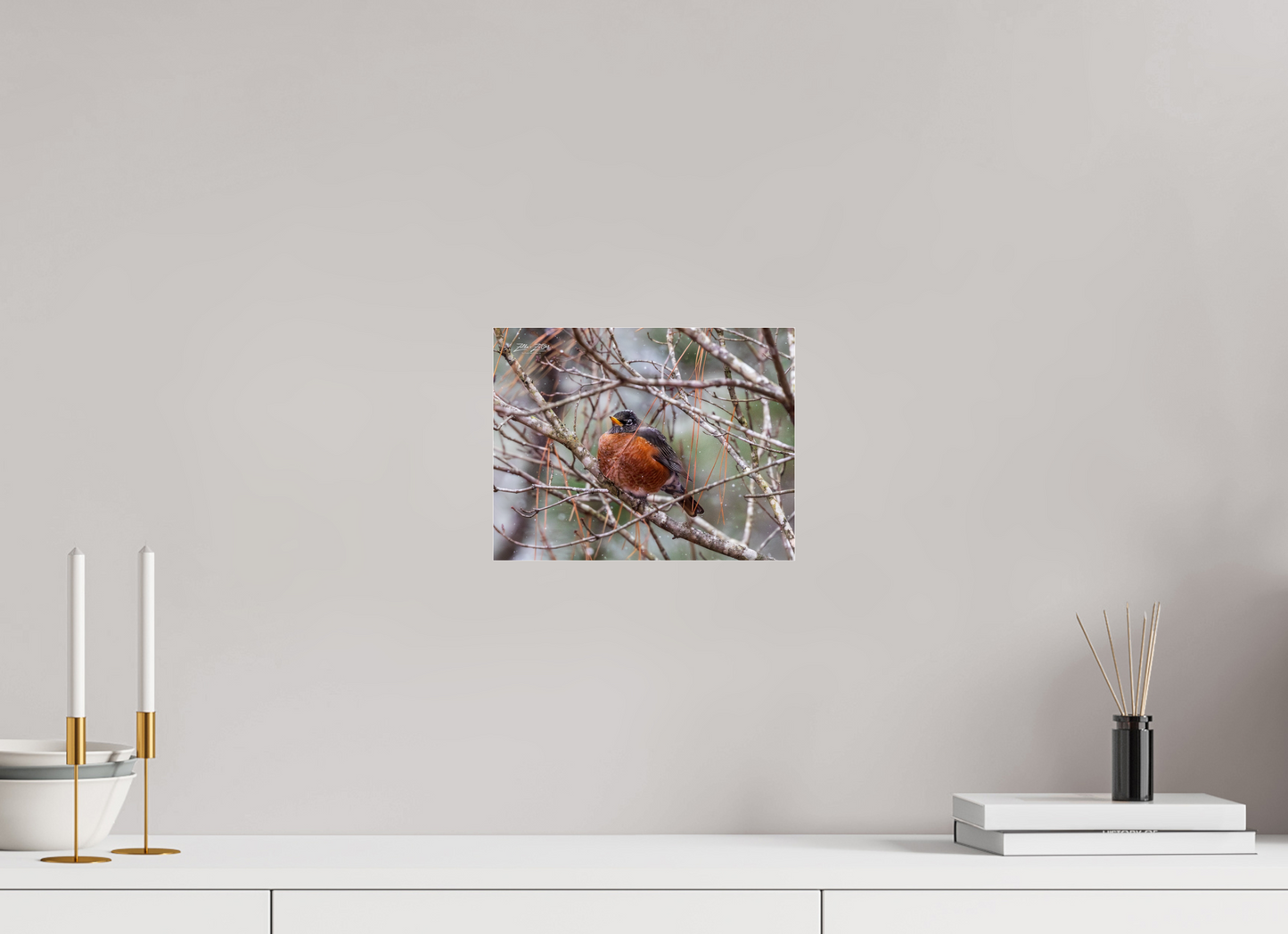 10.4 x 8″, Photo Print Under Acrylic Glass Zillas Zoom Image 337