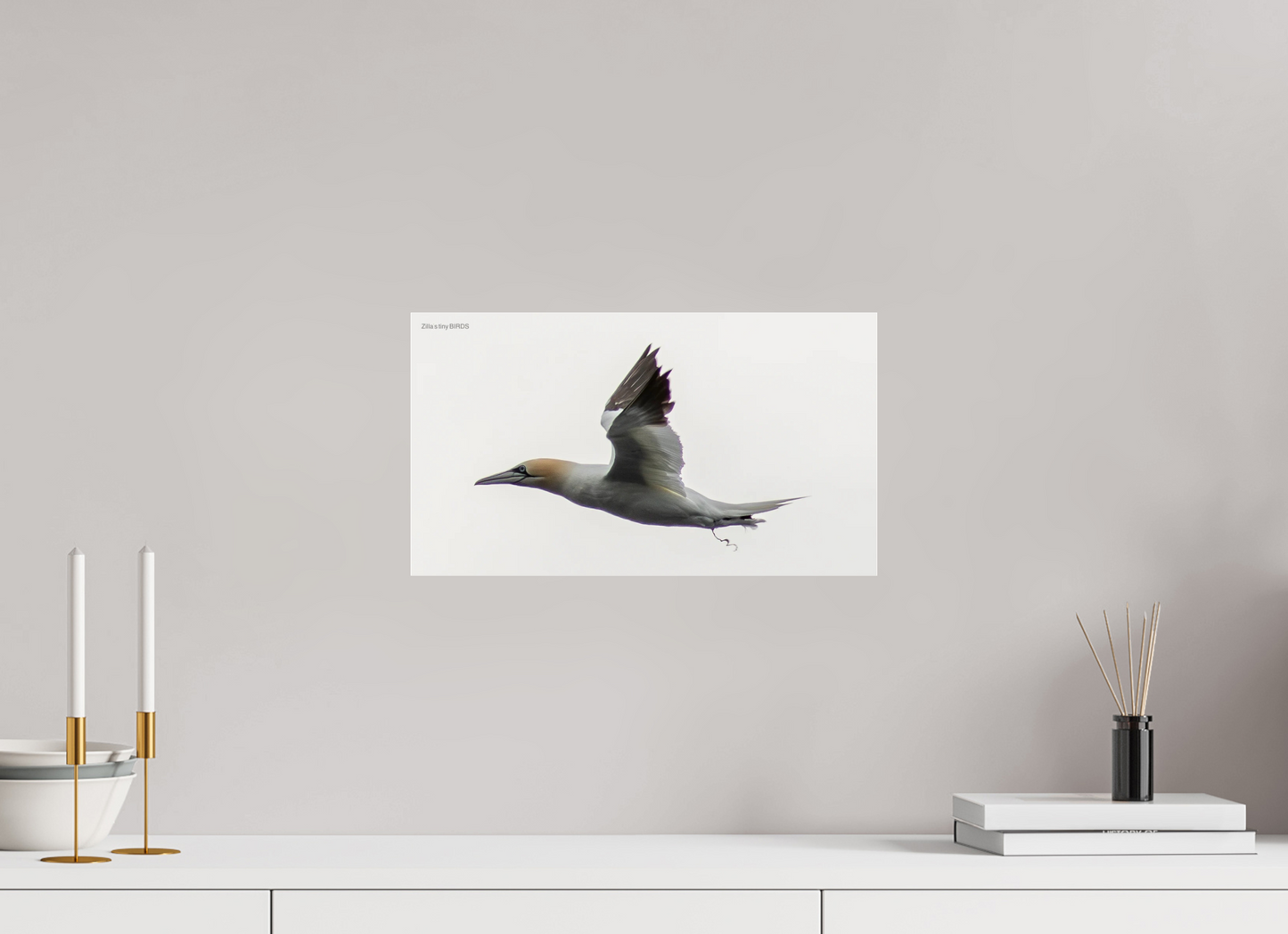 16 x 9″, Photo Print Under Acrylic Glass Zillas Zoom Image 331