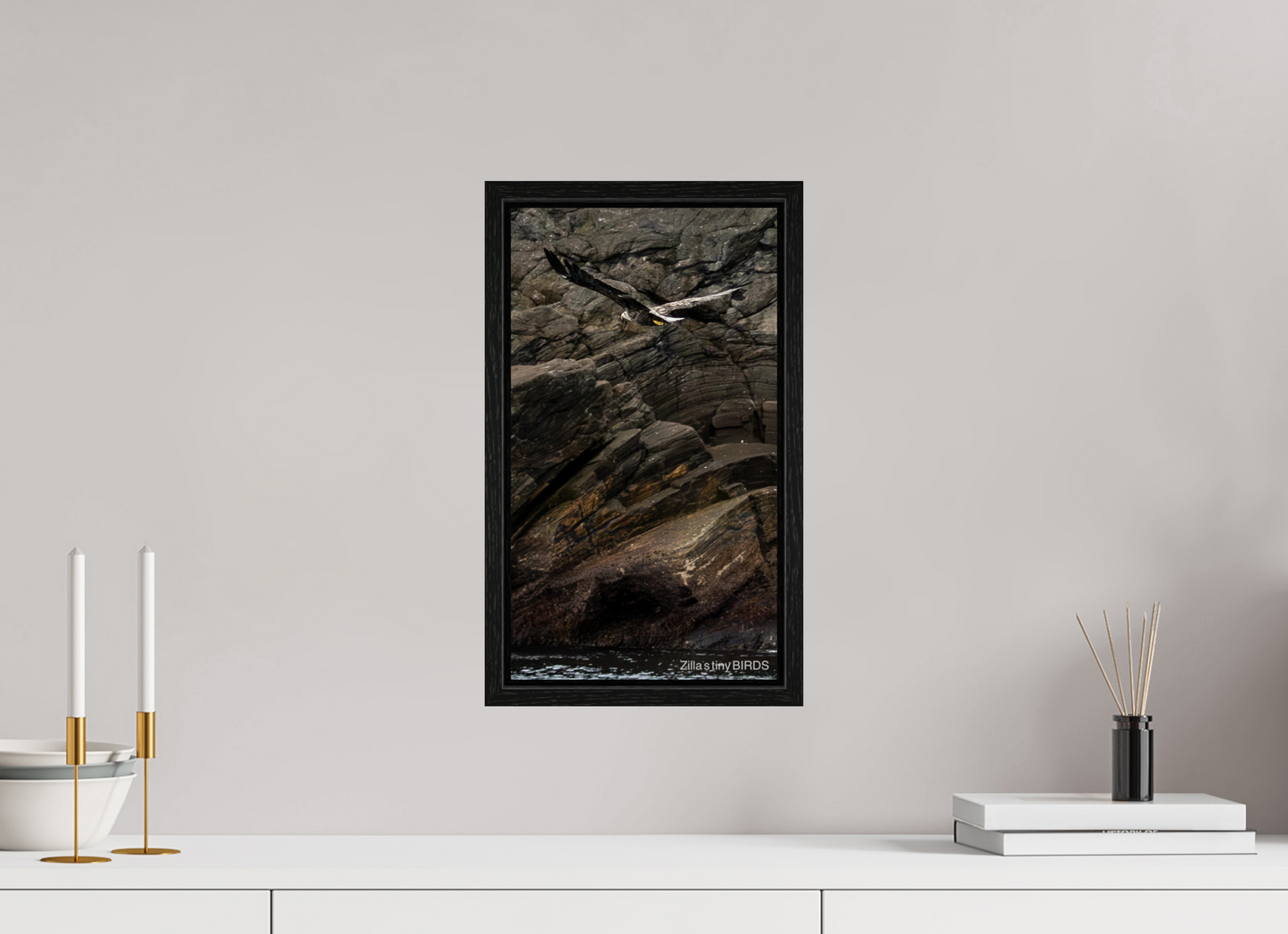 9 x 16″, Floater Frame Zillas Zoom Image 244